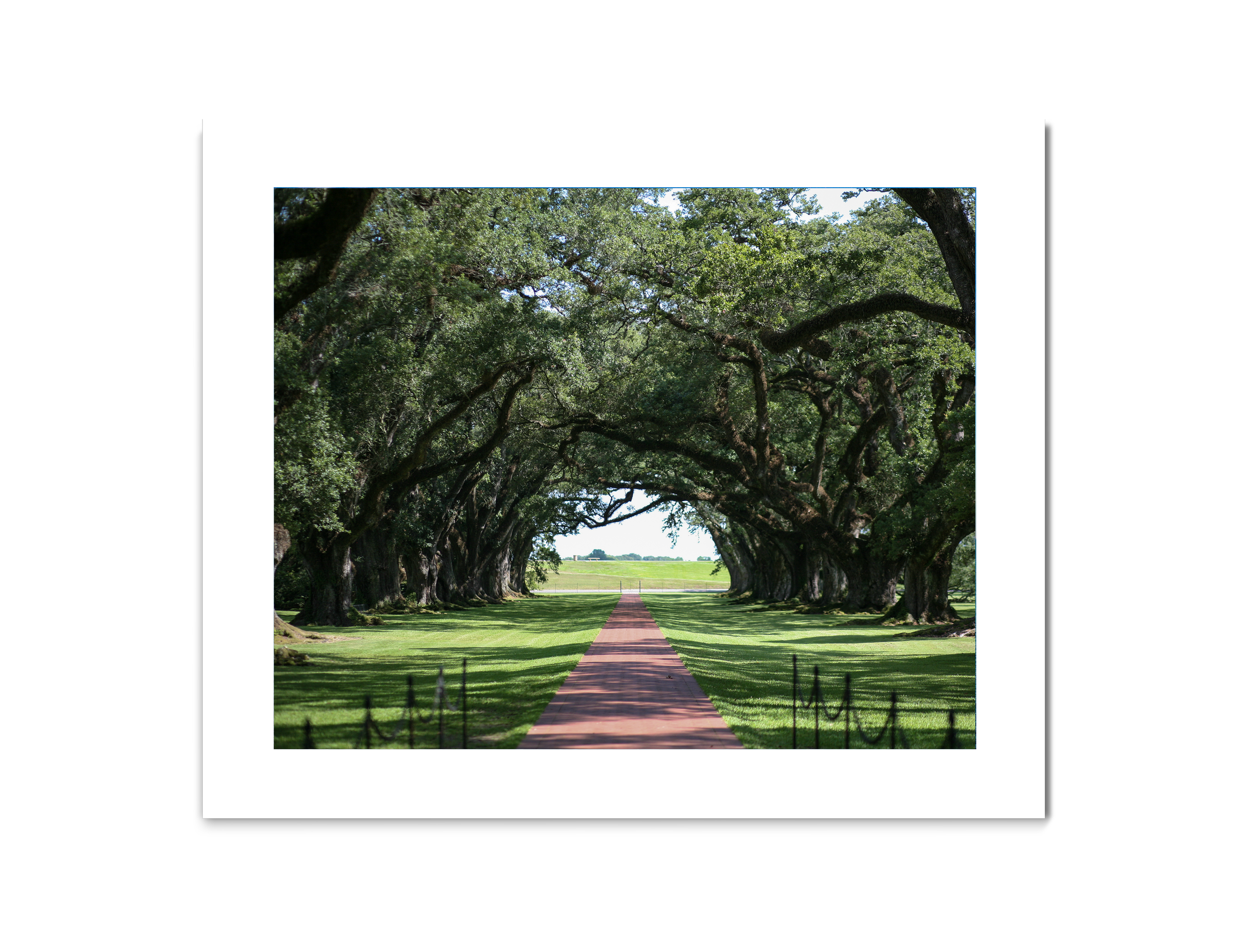 22_Louisiana_8x10L_matte.png