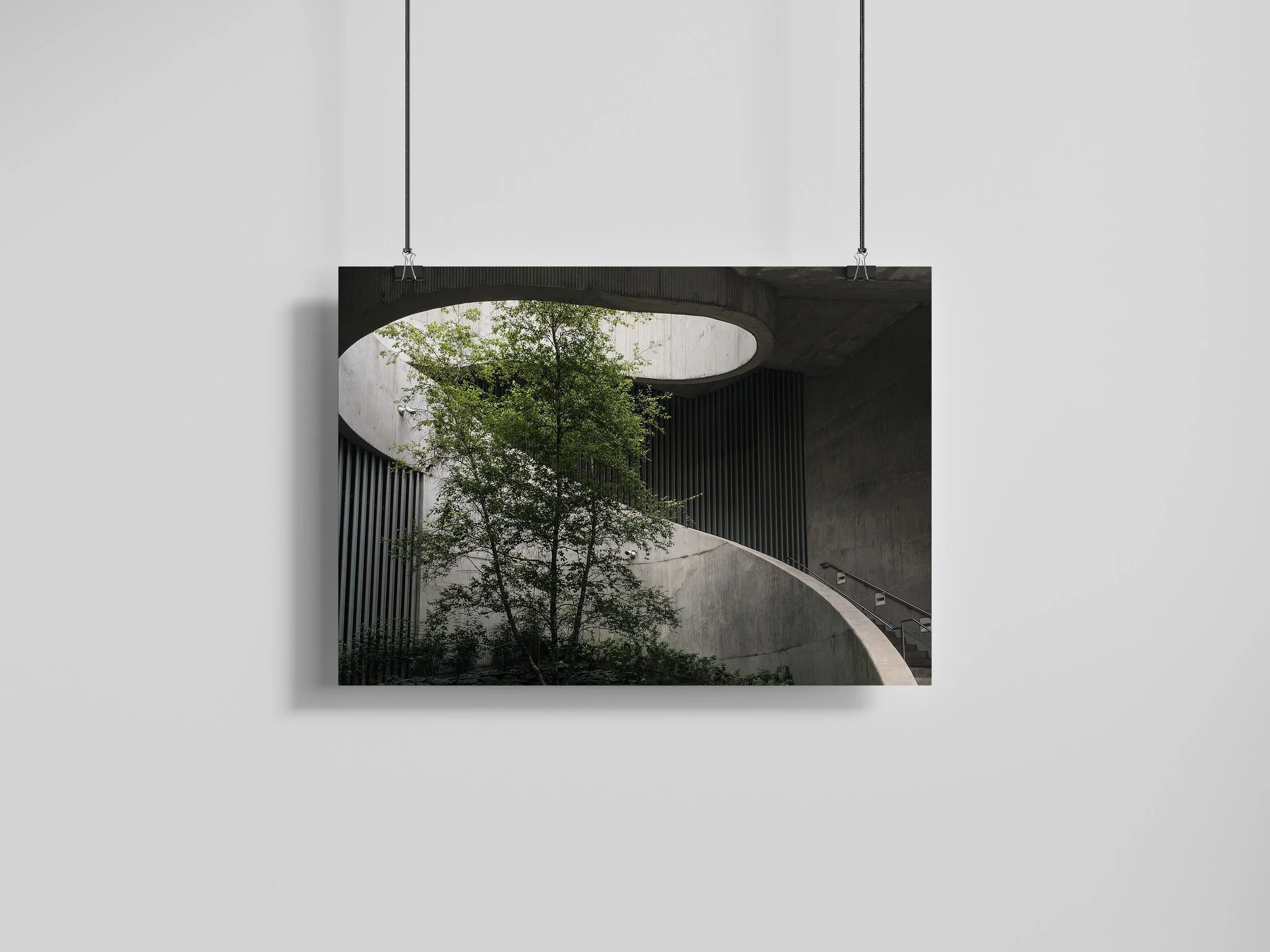 16_Chicago_8x10L_clip hang.JPG