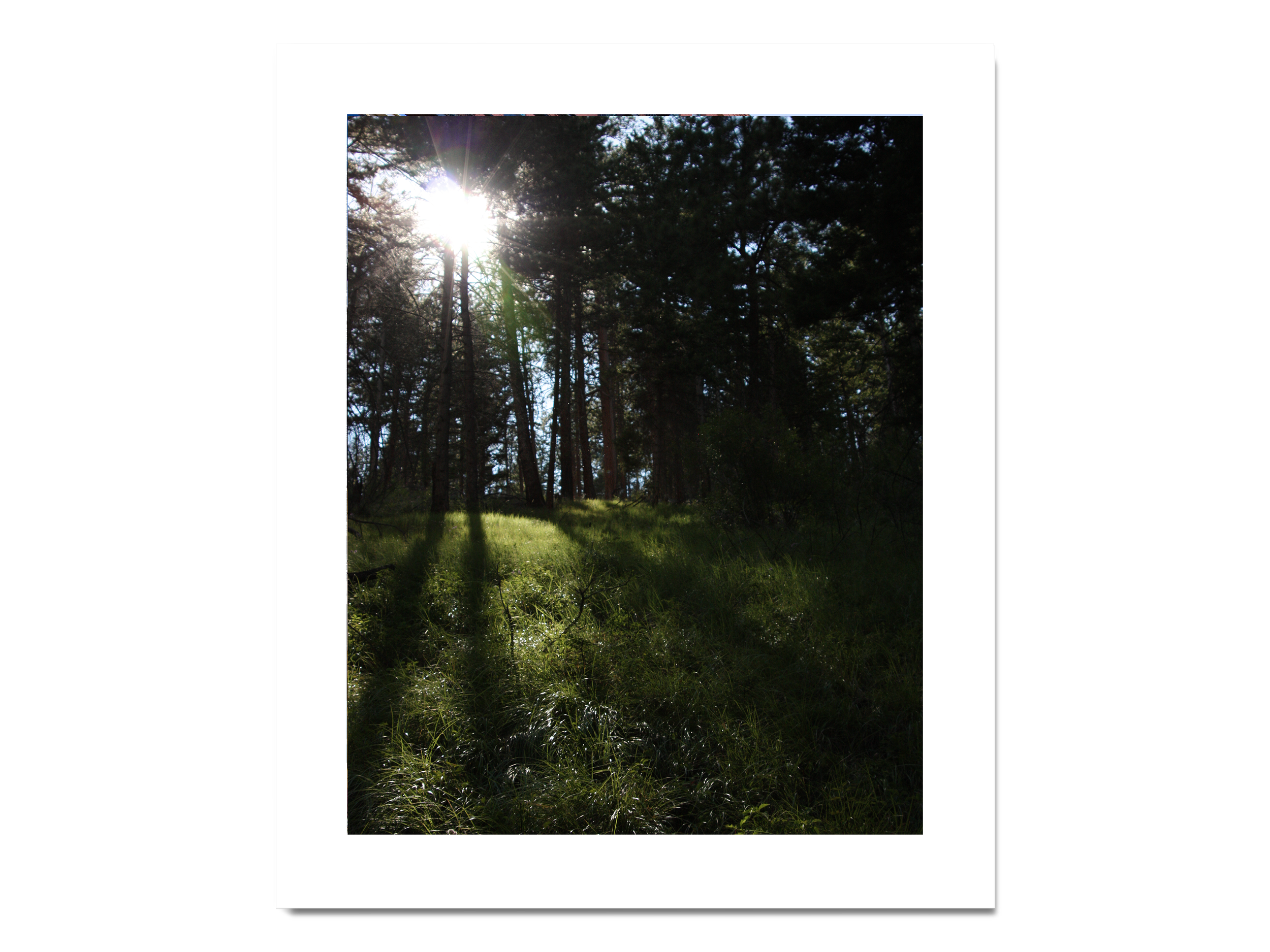 26_Montana_8x10P_matte.png