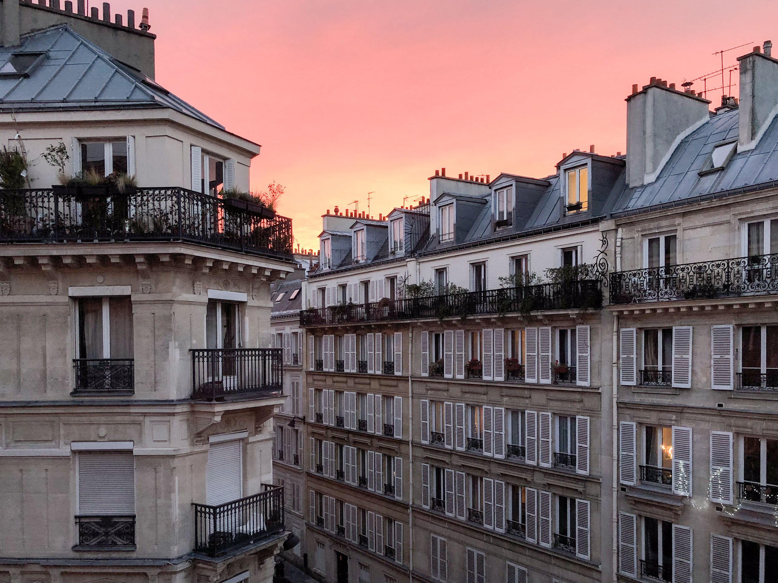 41_Paris_8x10L.jpg