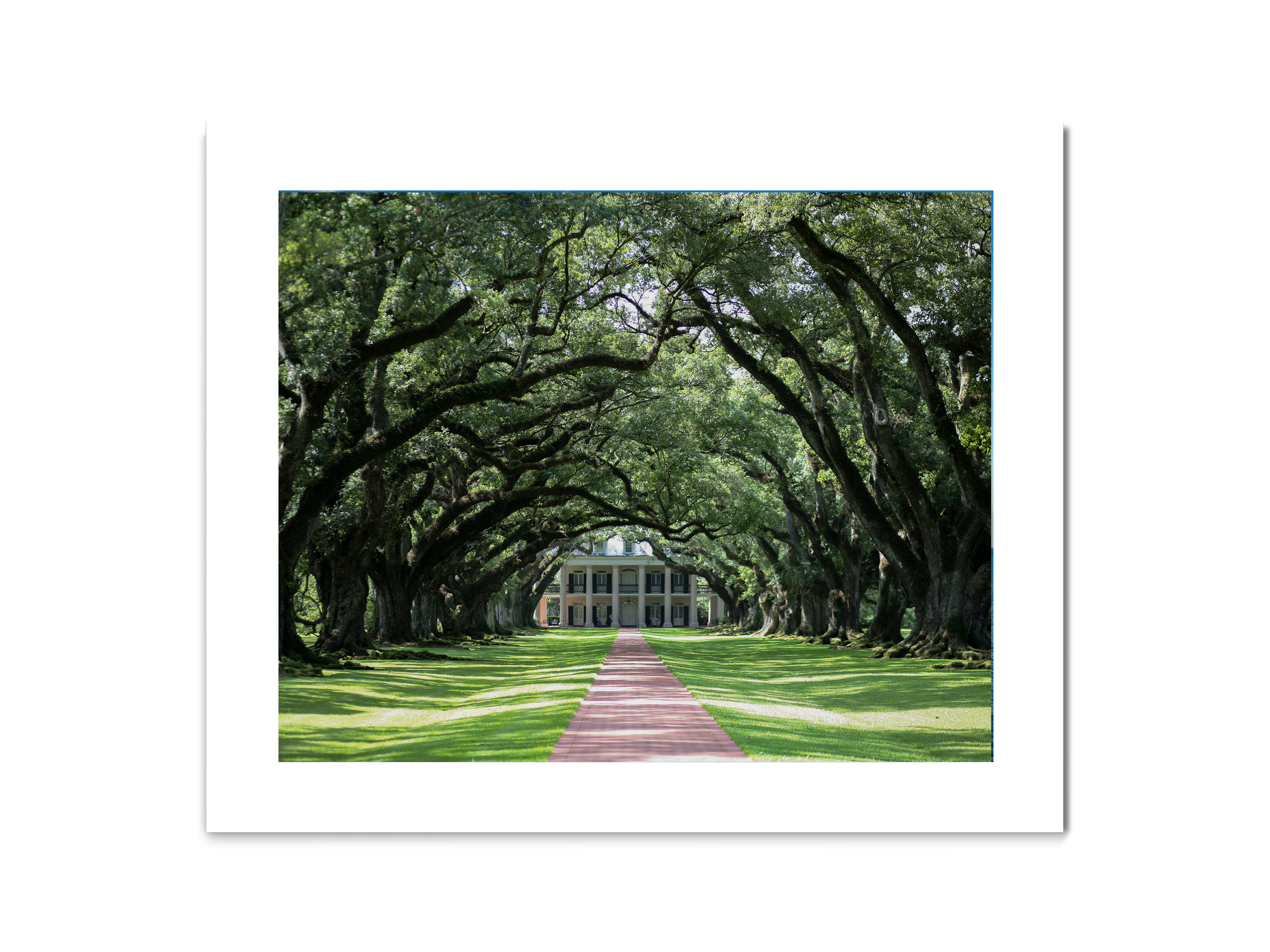 23_Louisiana_8x10L_matte.png