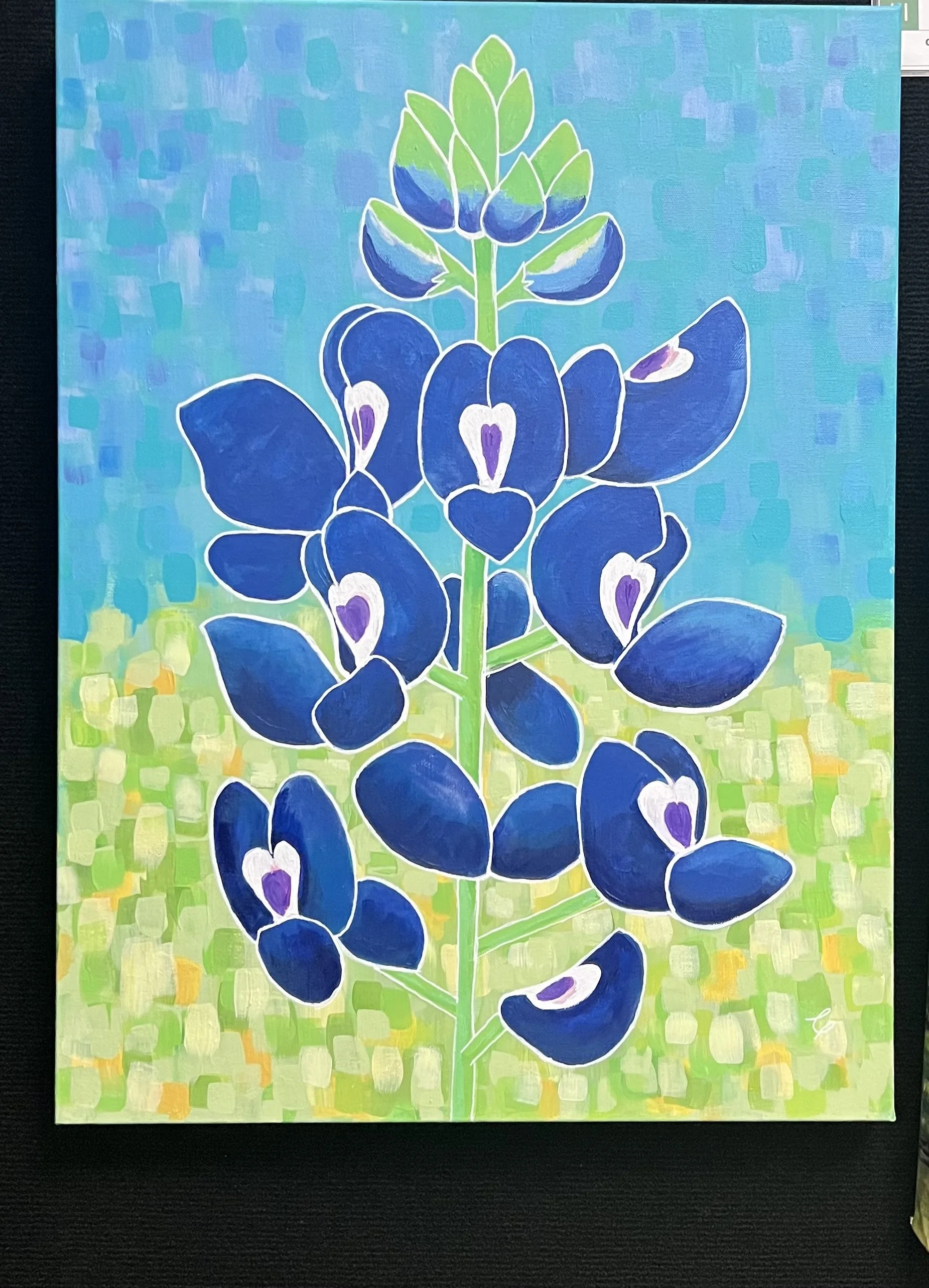 Texas Bluebonnet