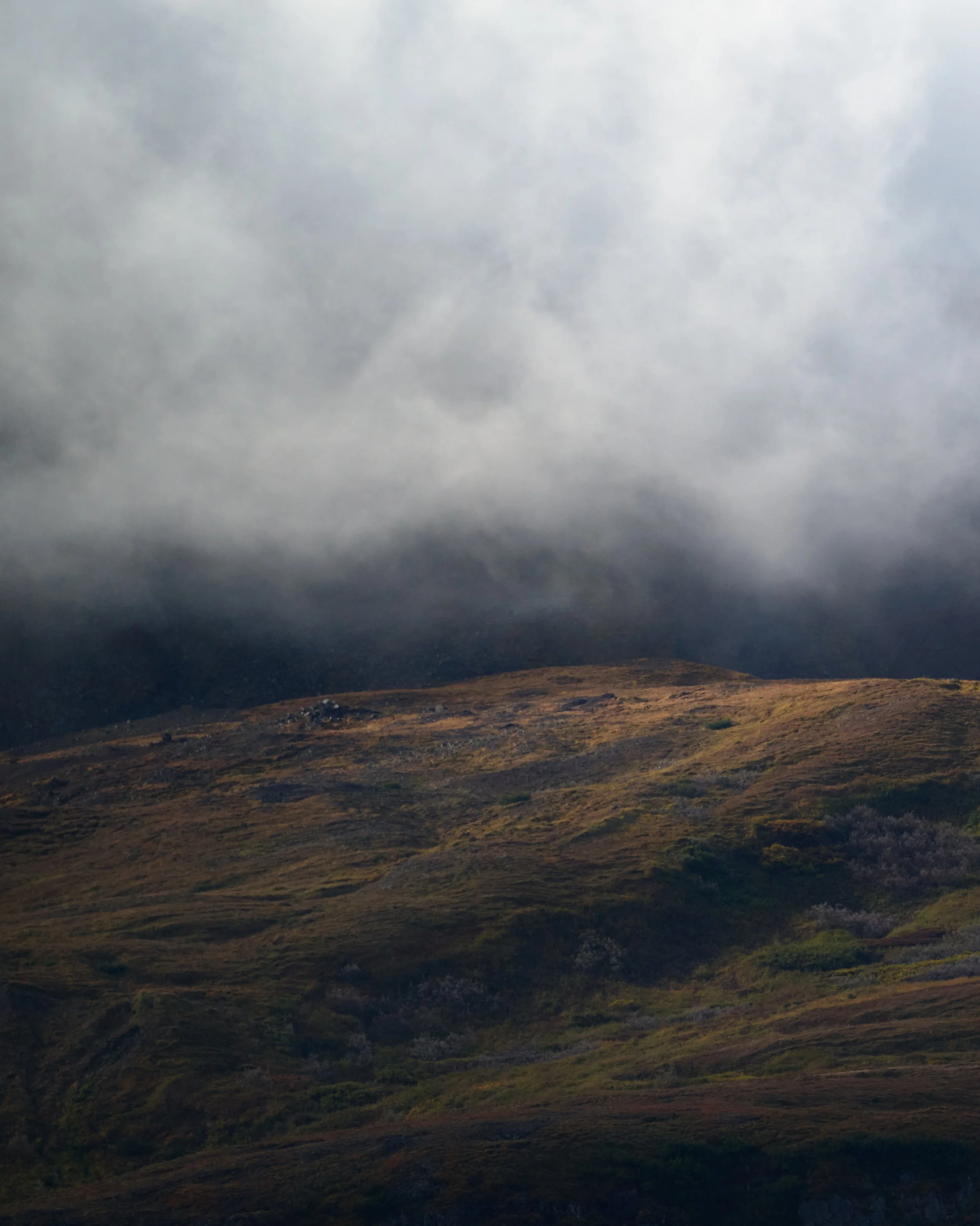 DSC_0276.jpg