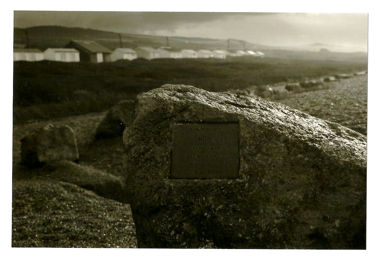 sc0101da7c.jpg