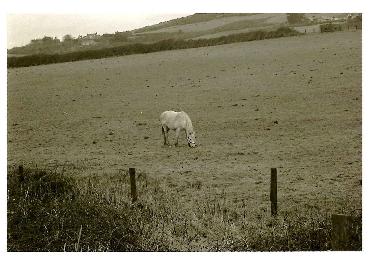 sc01018f84.jpg