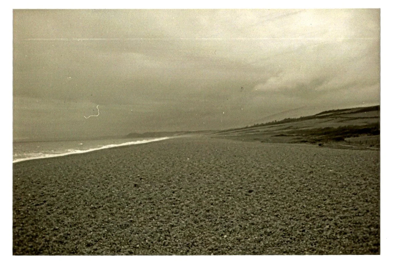 sc01013d1a.jpg