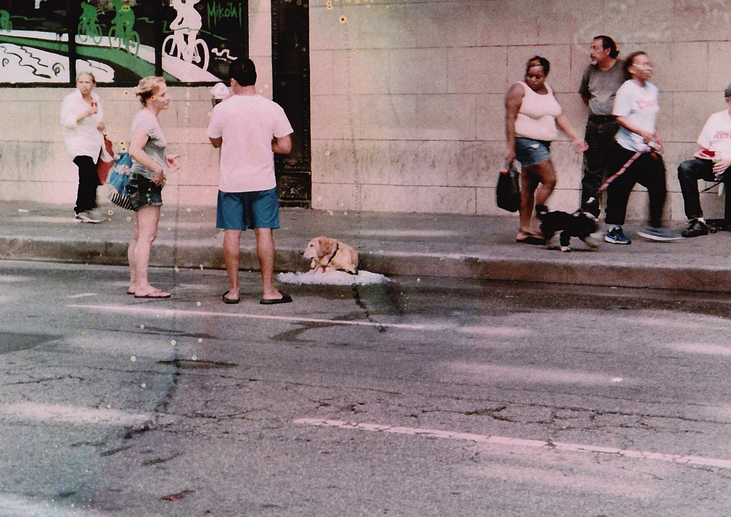 IMG_0014 copy.jpg