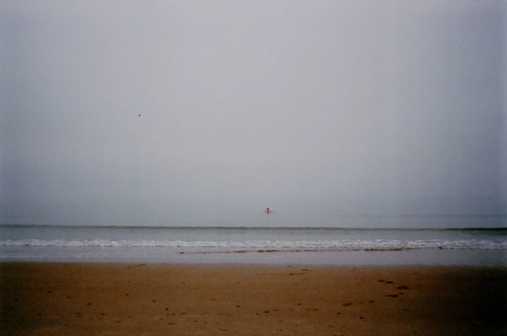 IMG3.jpg