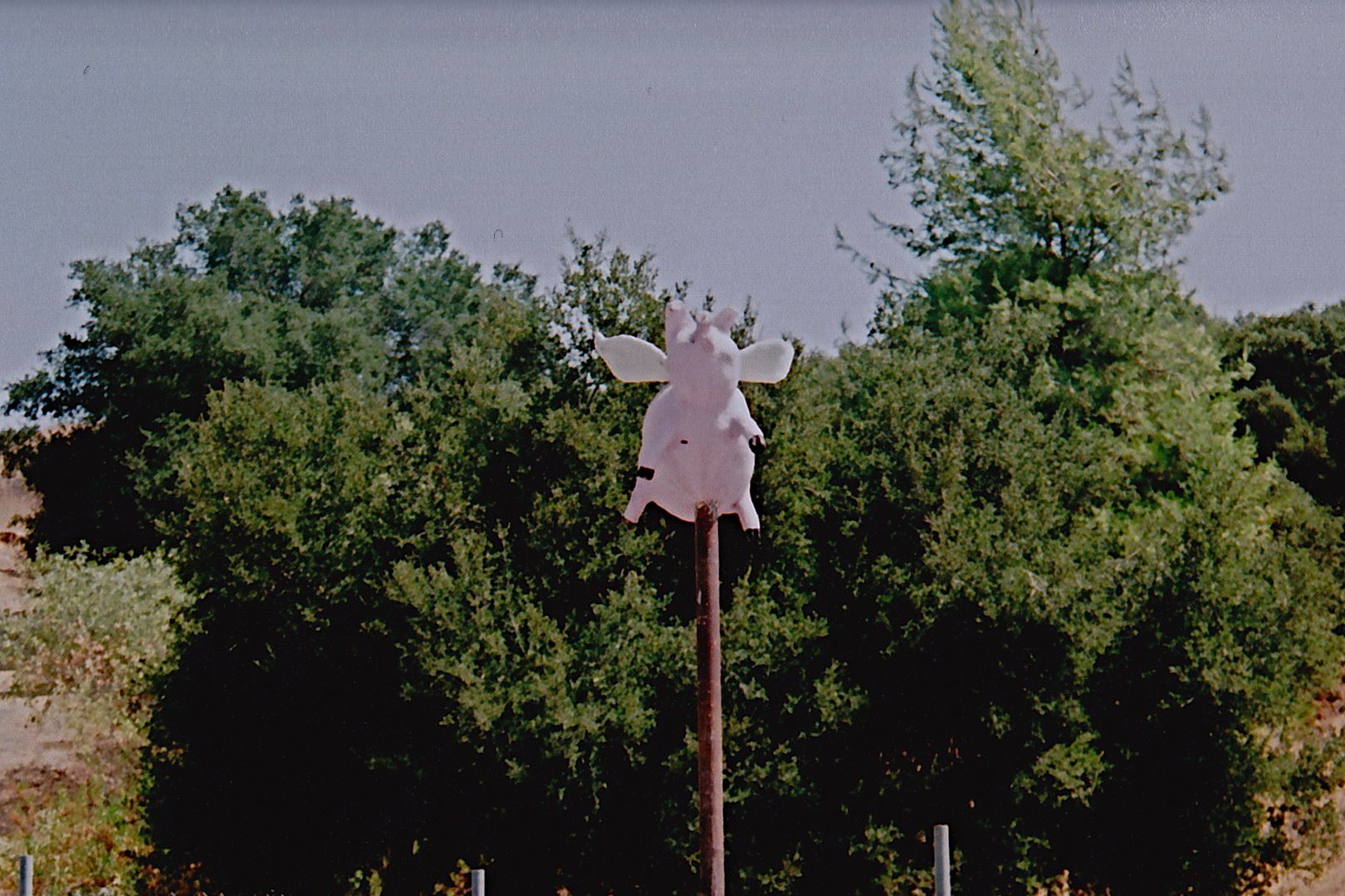 TopangaCanyon1 2.jpg
