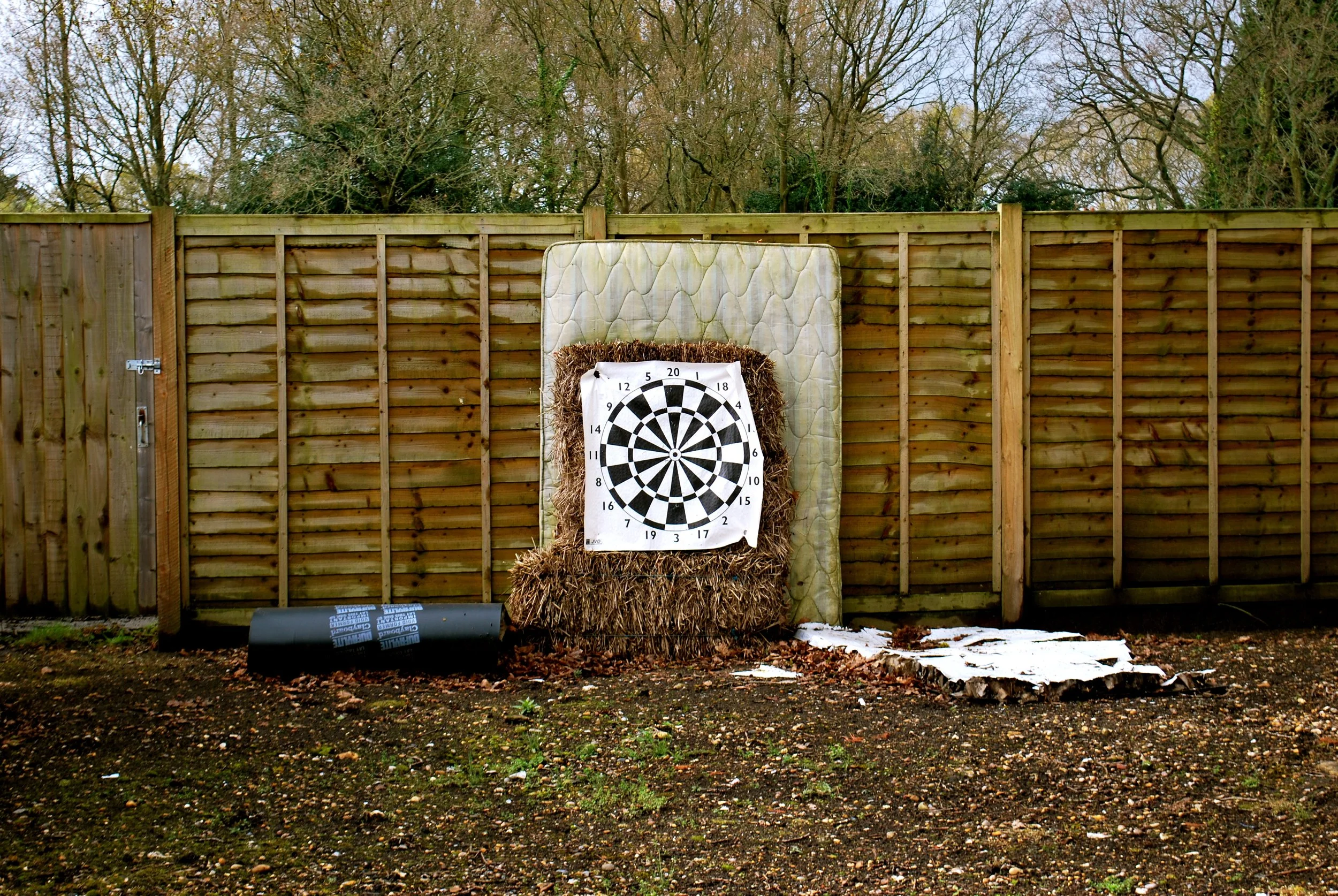 DSC_2226.JPG