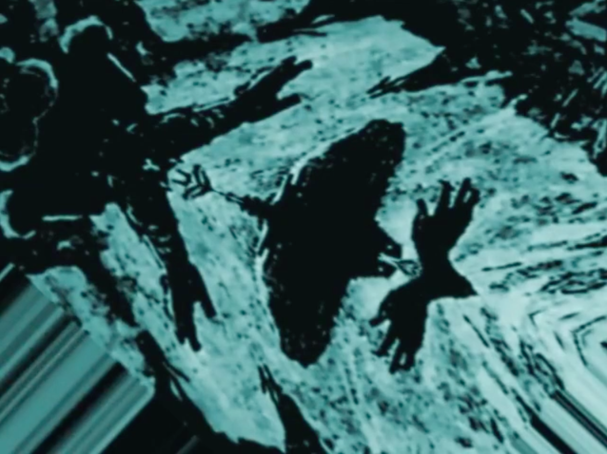 Paradot projections (2019)