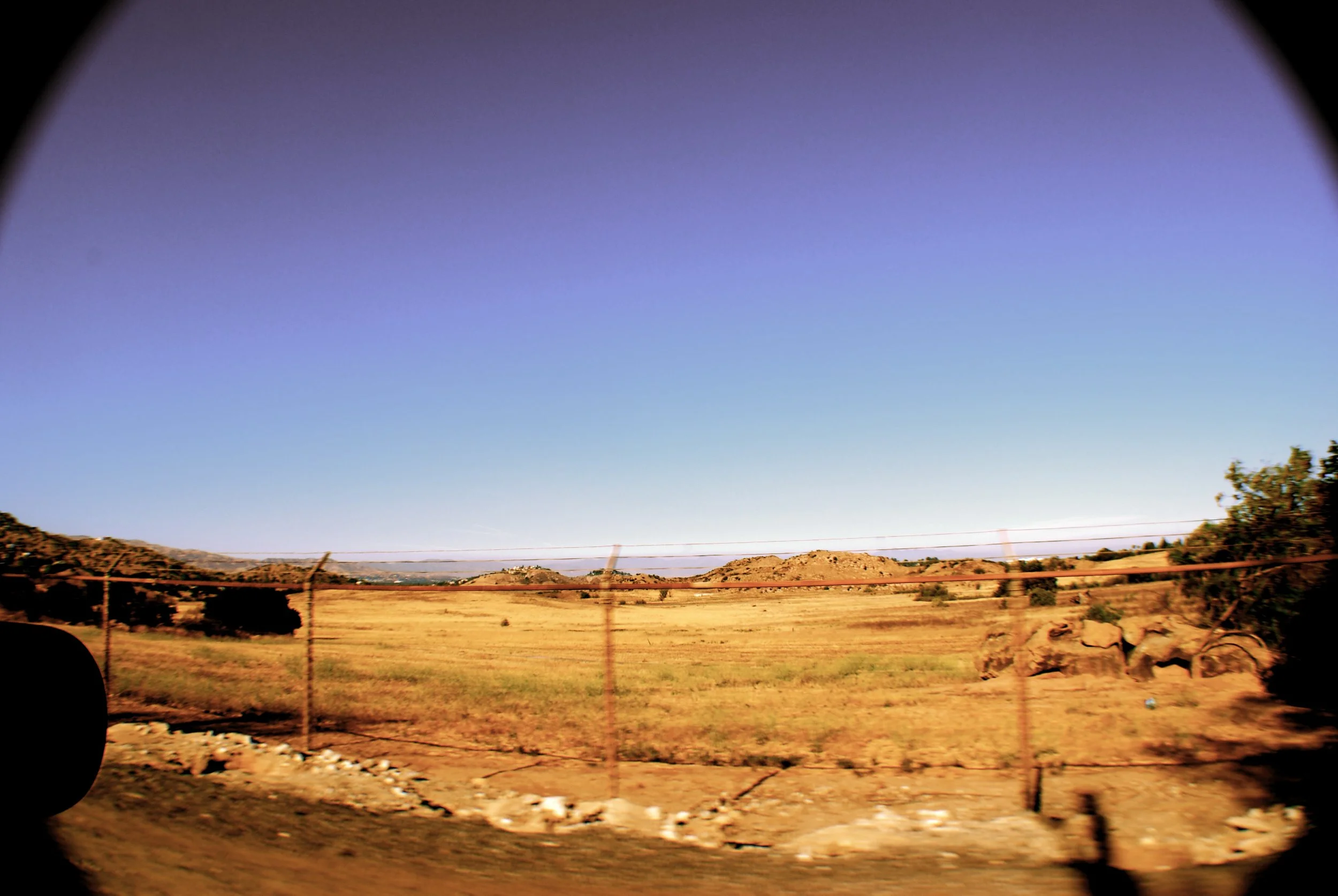 DSC_0128.JPG