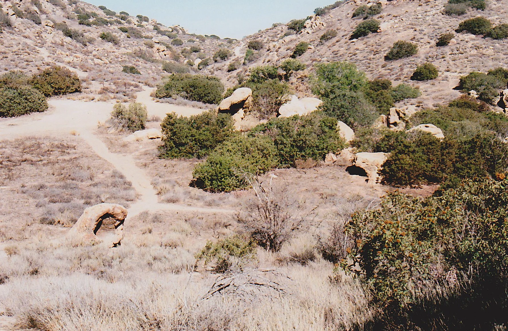 Valley2.jpg