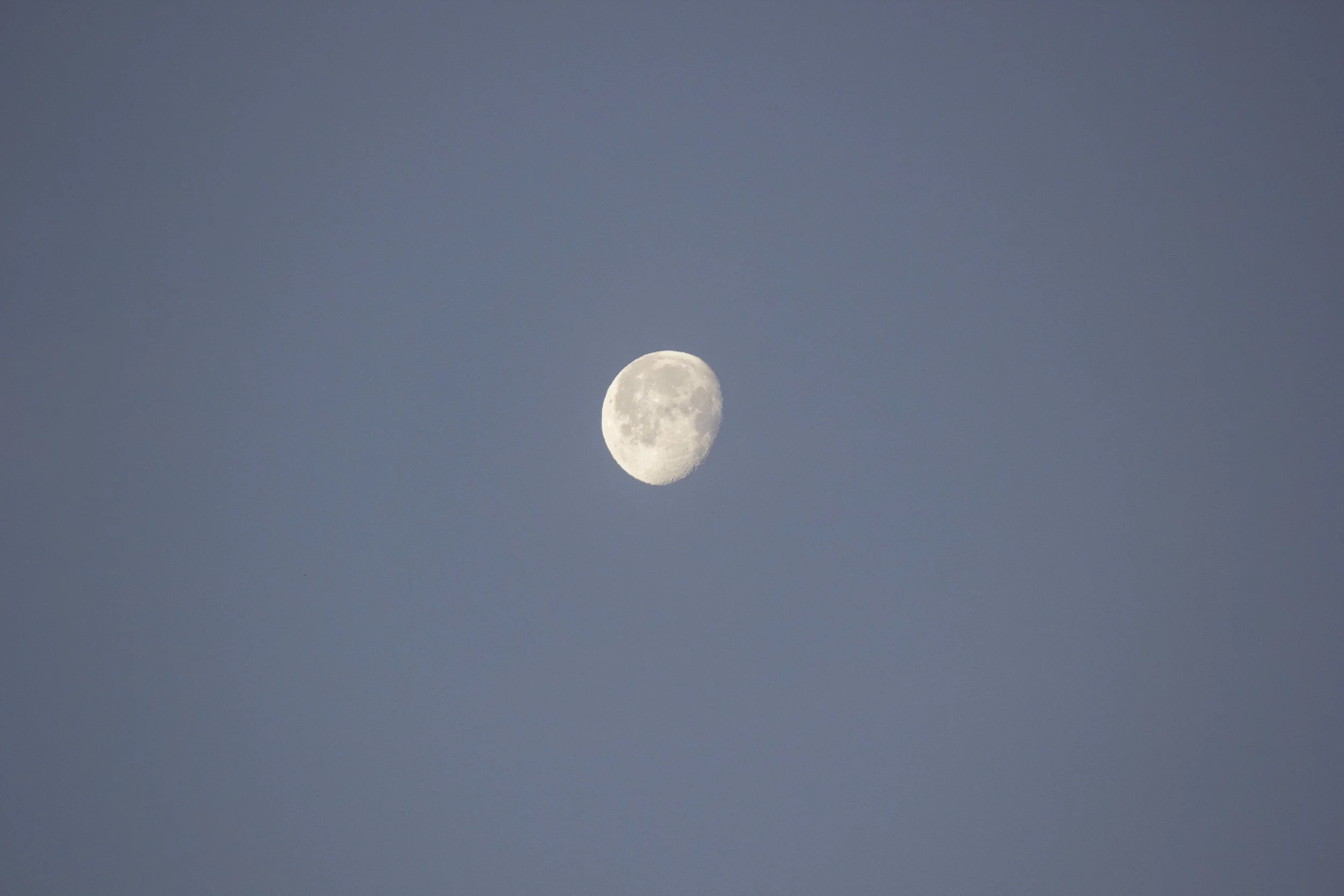 IMG_1980.jpg