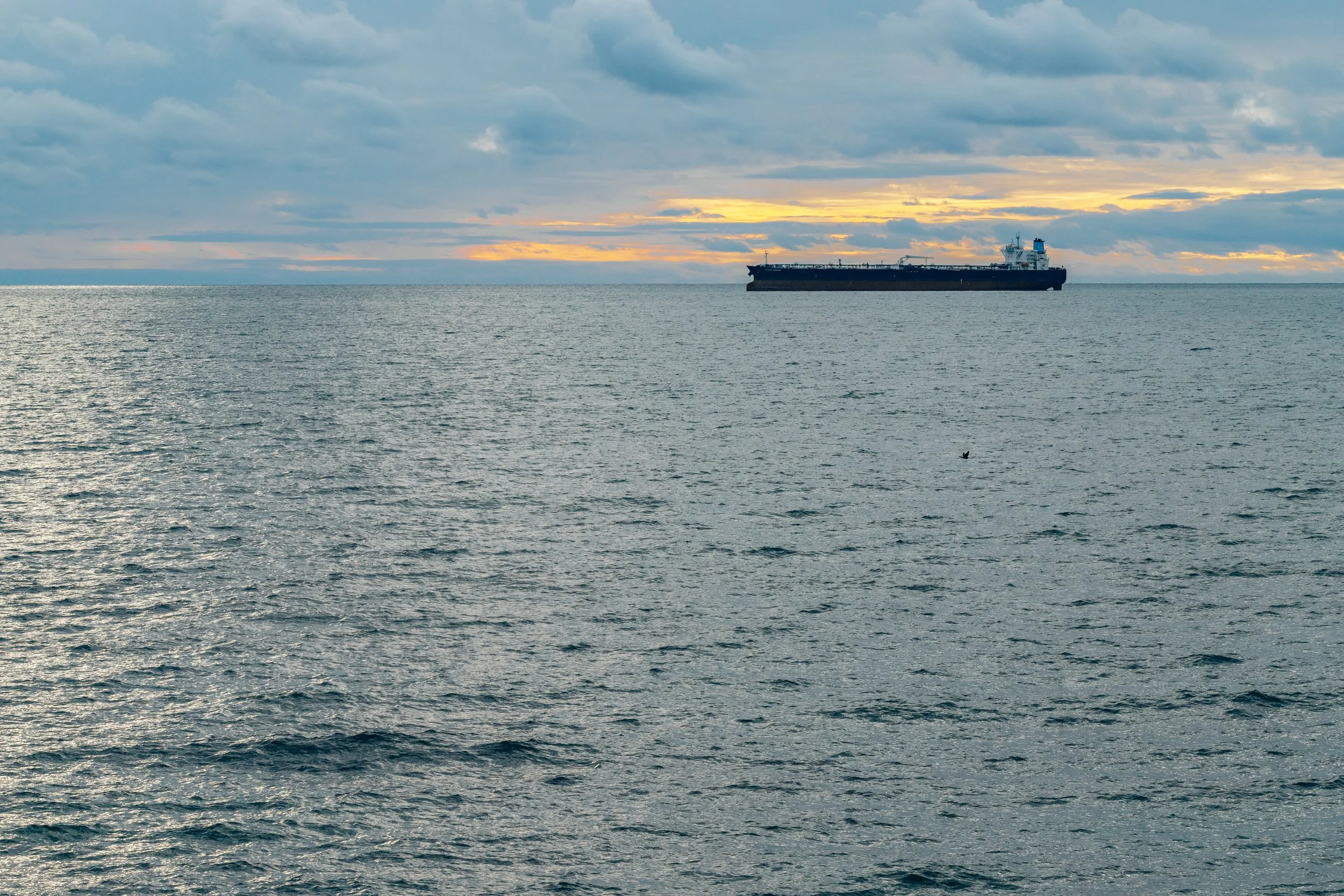 A large cargo ship sailing on the ocean during sunset, with a cloudy sky and a small bird flying over the water.