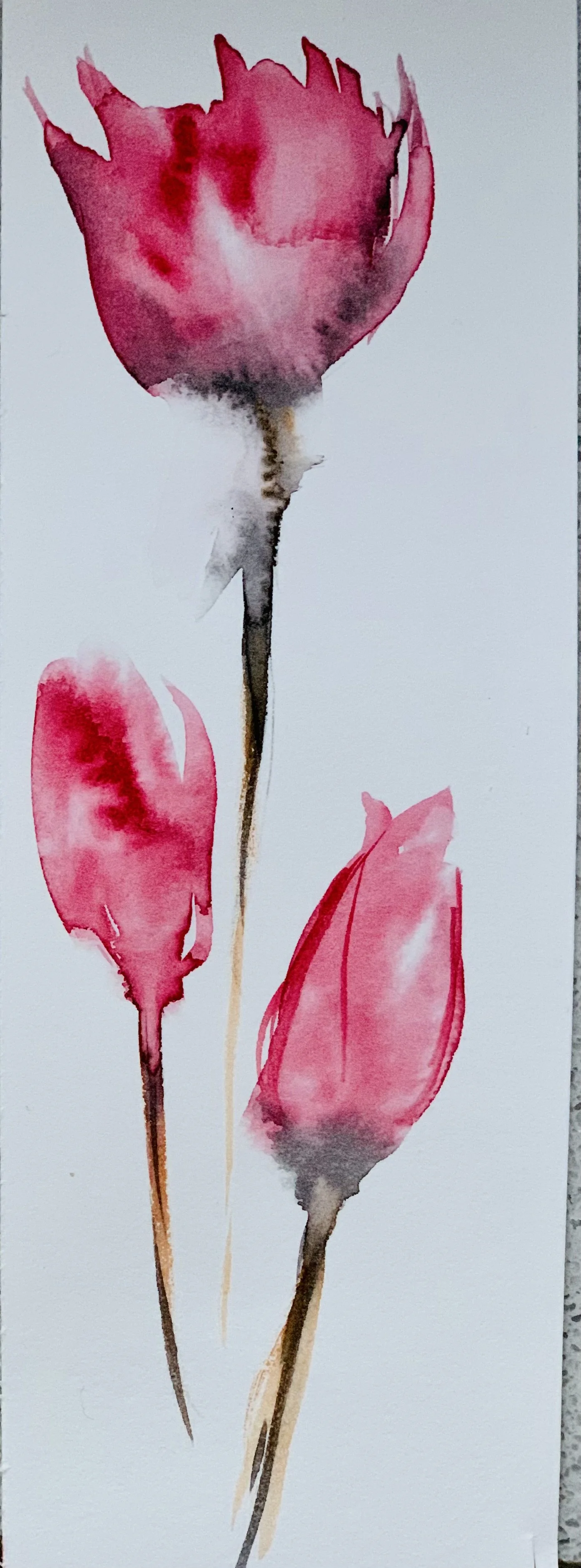 A watercolor painting of three pink flowers with long stems on a white background.