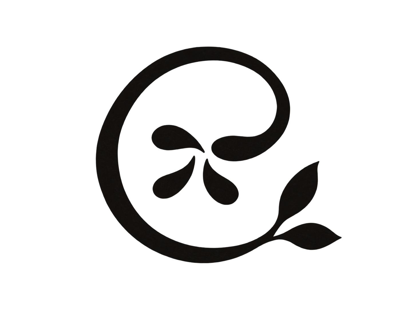 SYNTROPY