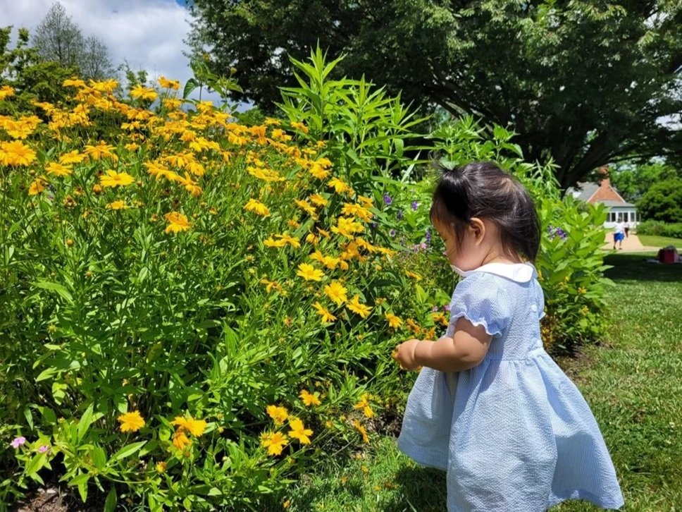 Best Spring Outings in Northern Virginia with Kids: Beyond Cherry Blossoms 