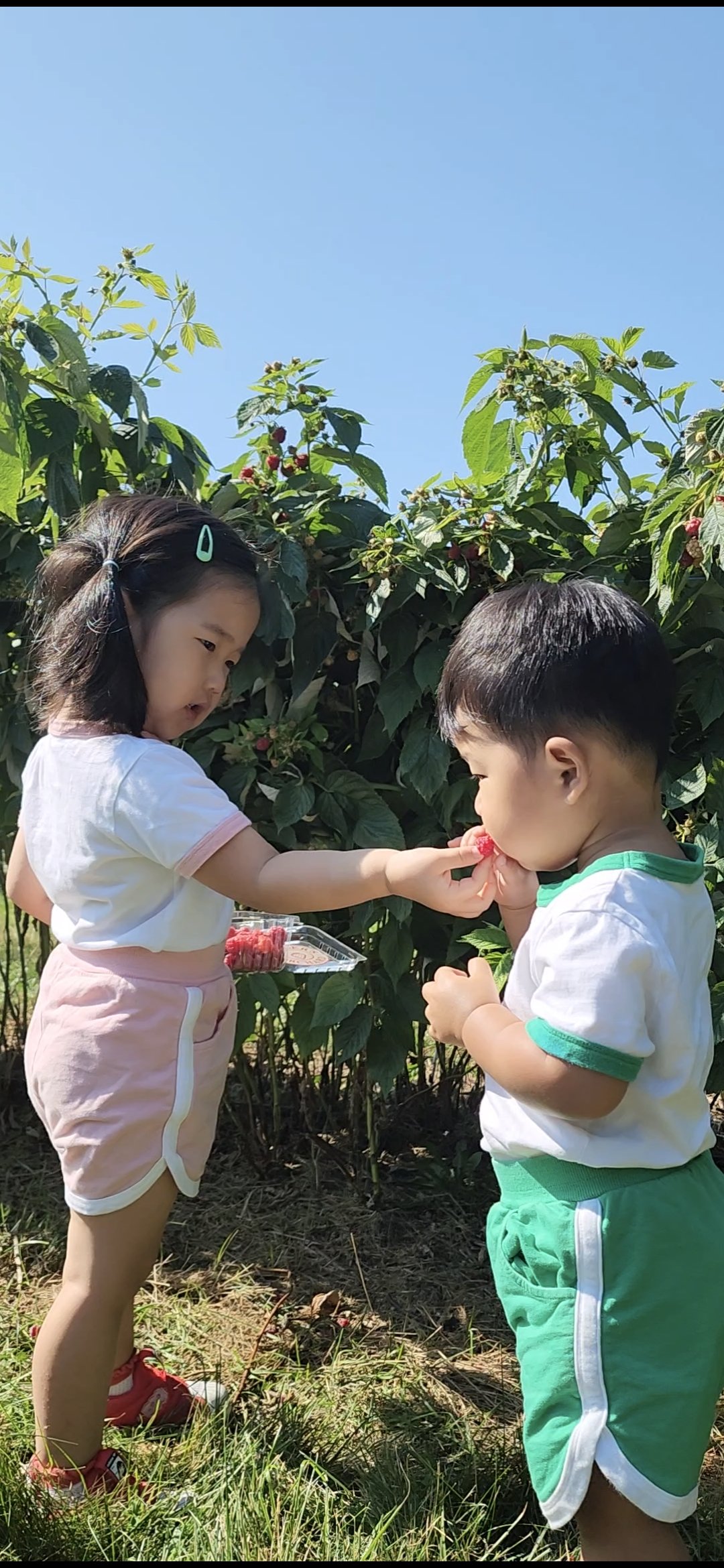 Favorite Summer Spots in NOVA for Families with Little Ones ☀️🌿