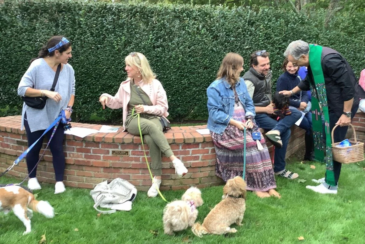 Animal Blessing