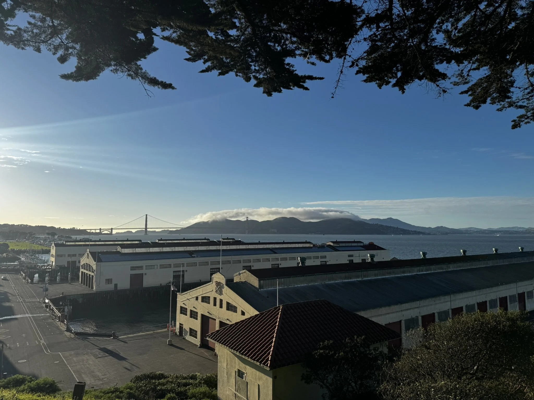 A Field Guide to Your Emotions