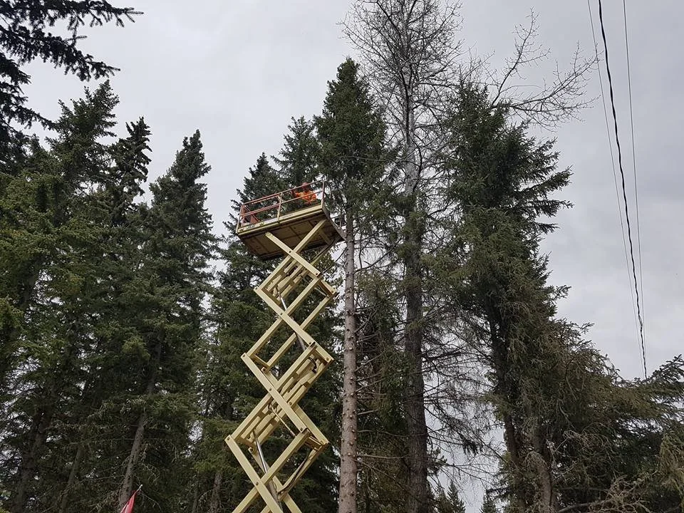 A scissor lift with an orange safety railing working among tall pine trees, set against a cloudy sky.