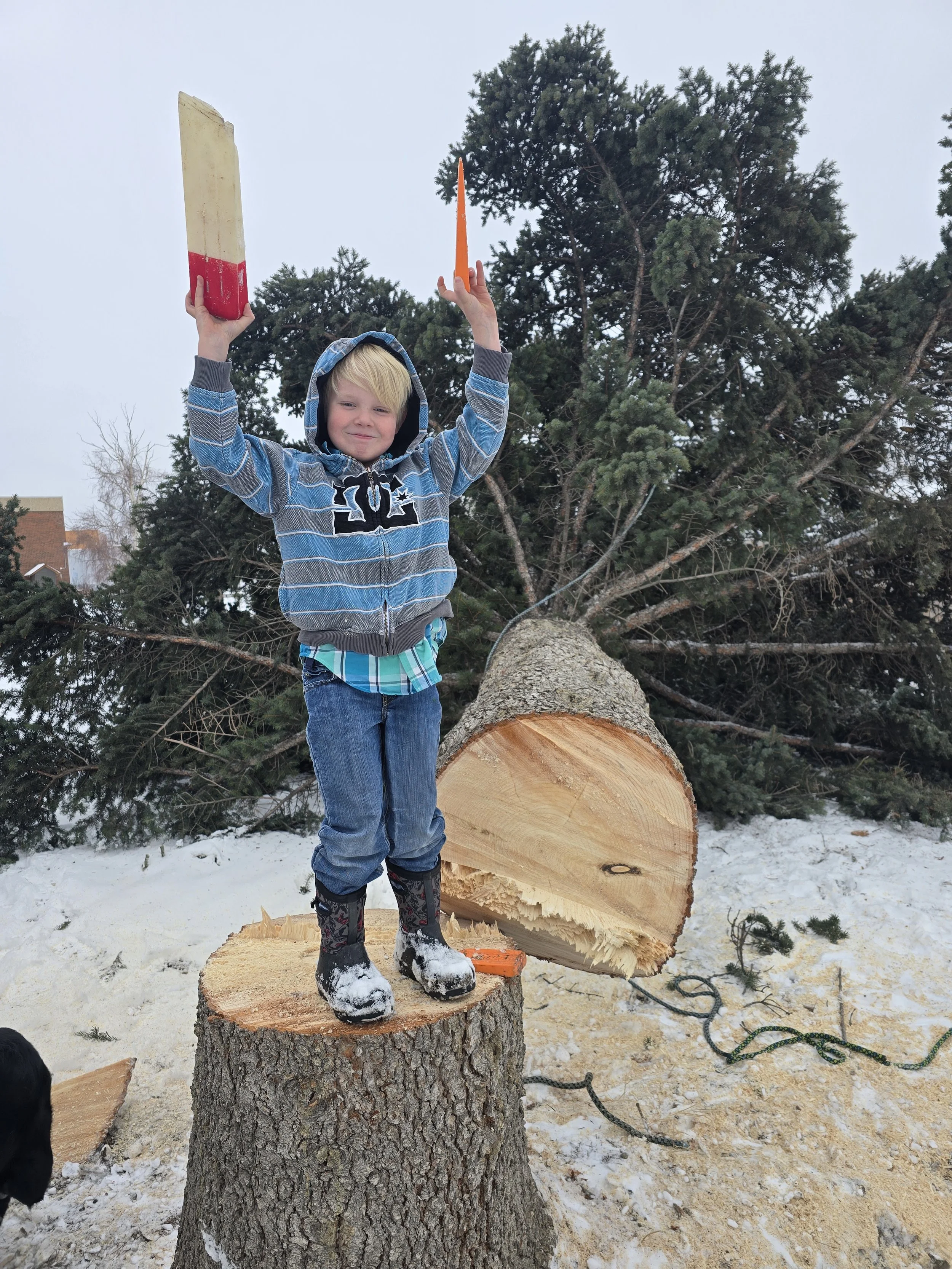 Young boy standing on a tree stump, holding an ice skate and a hockey stick, with a large fallen tree in the background on snowy ground