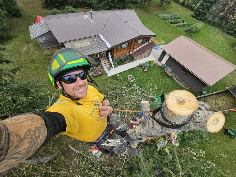 A man wearing a yellow shirt, sunglasses, and a helmet is perched high in a tree, using climbing gear. Below, there are two houses with metal roofs, a garden, and a lawn. The man is smiling and taking a selfie from the top of the tree.