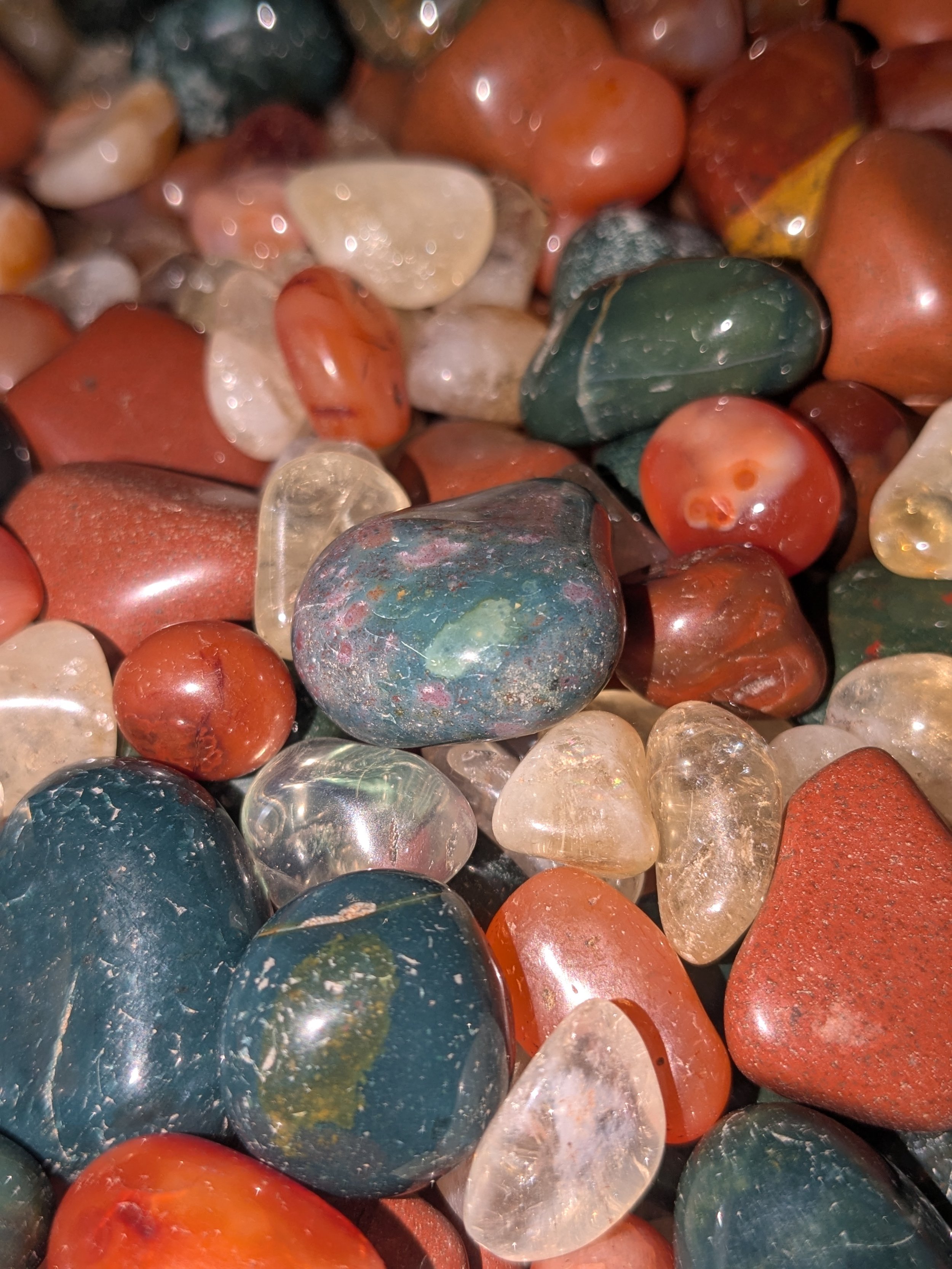 Sweet Aries Launch (Lamb)