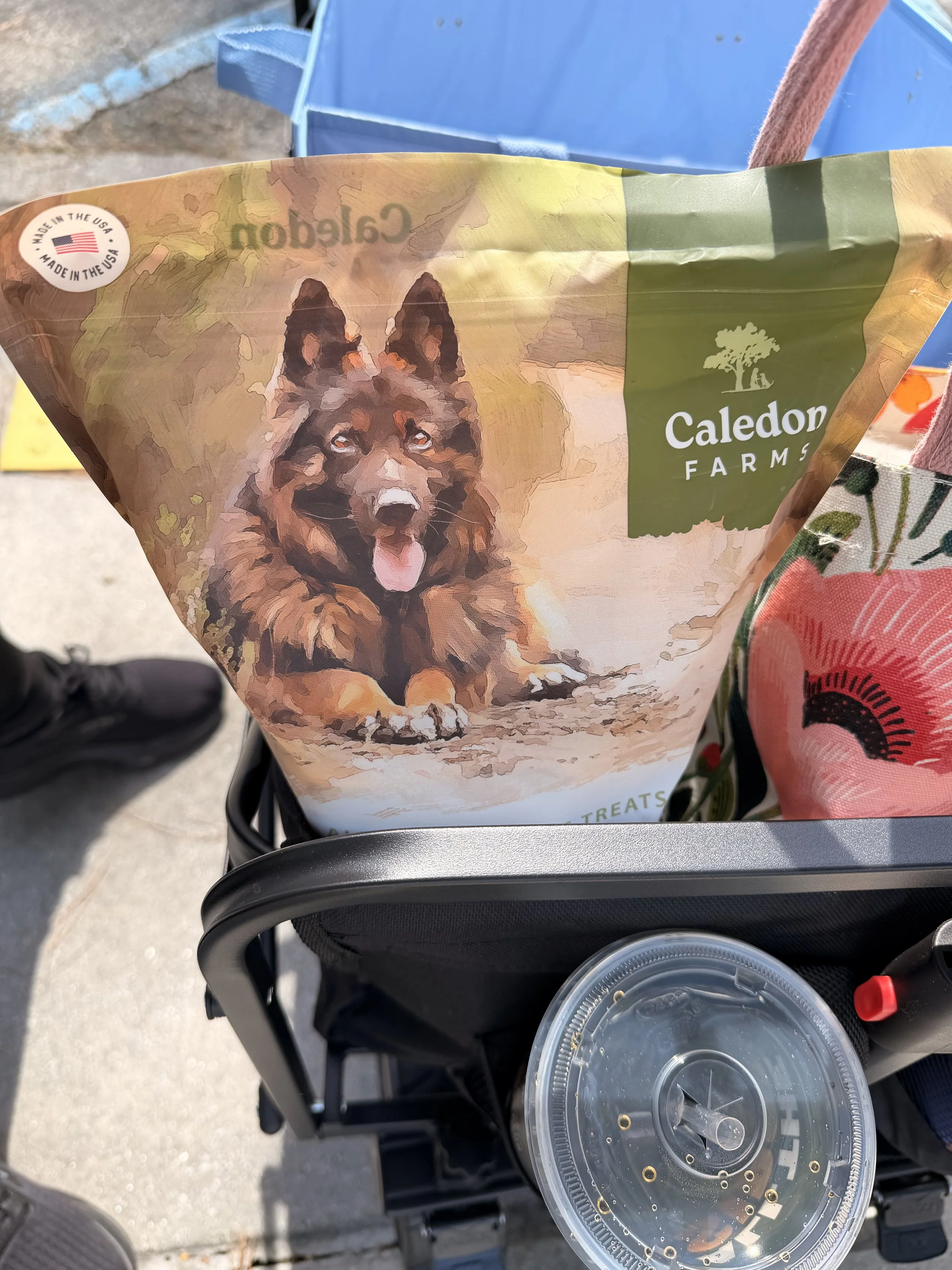 Prayer in the Park - March