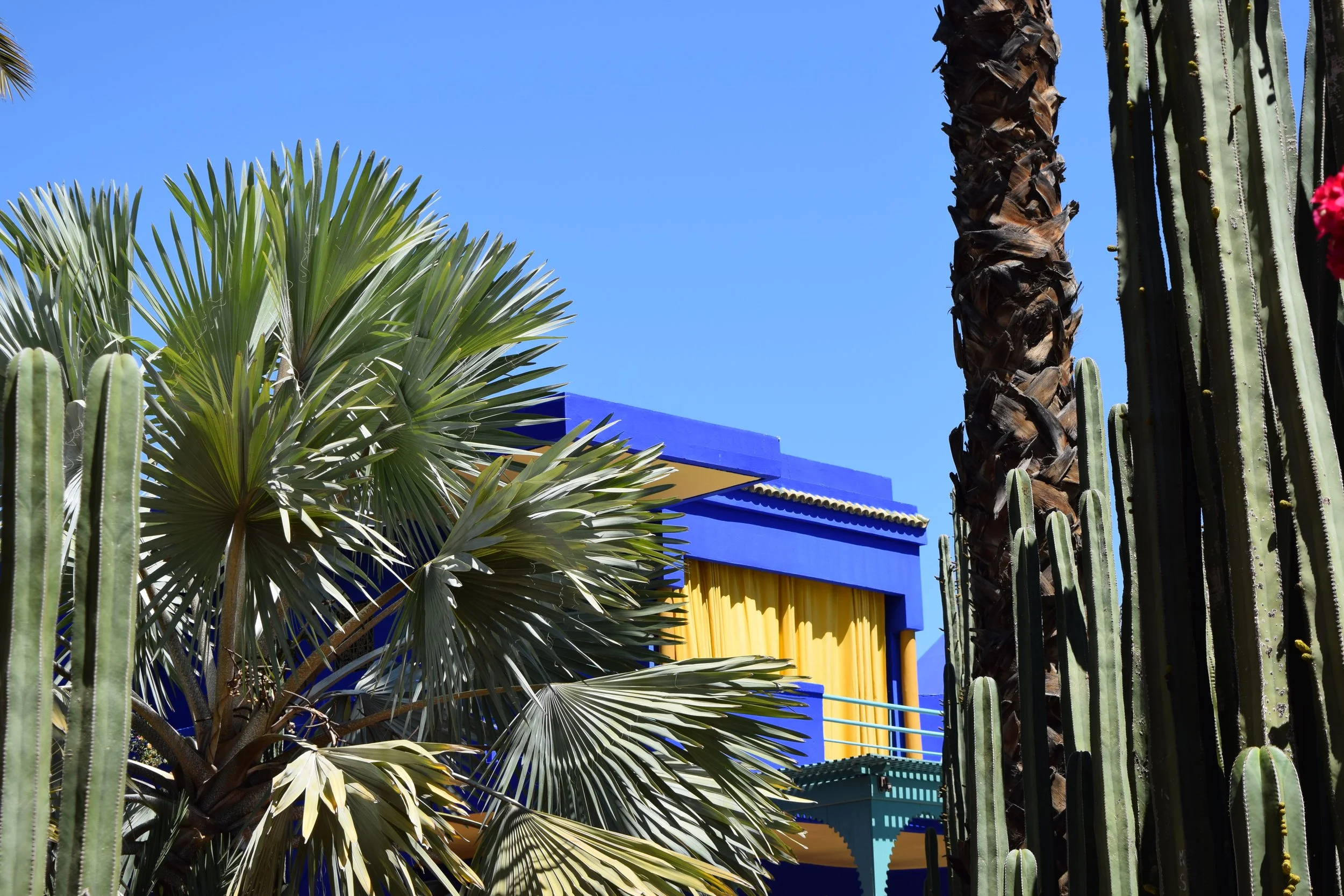 Jardin Majorelle
