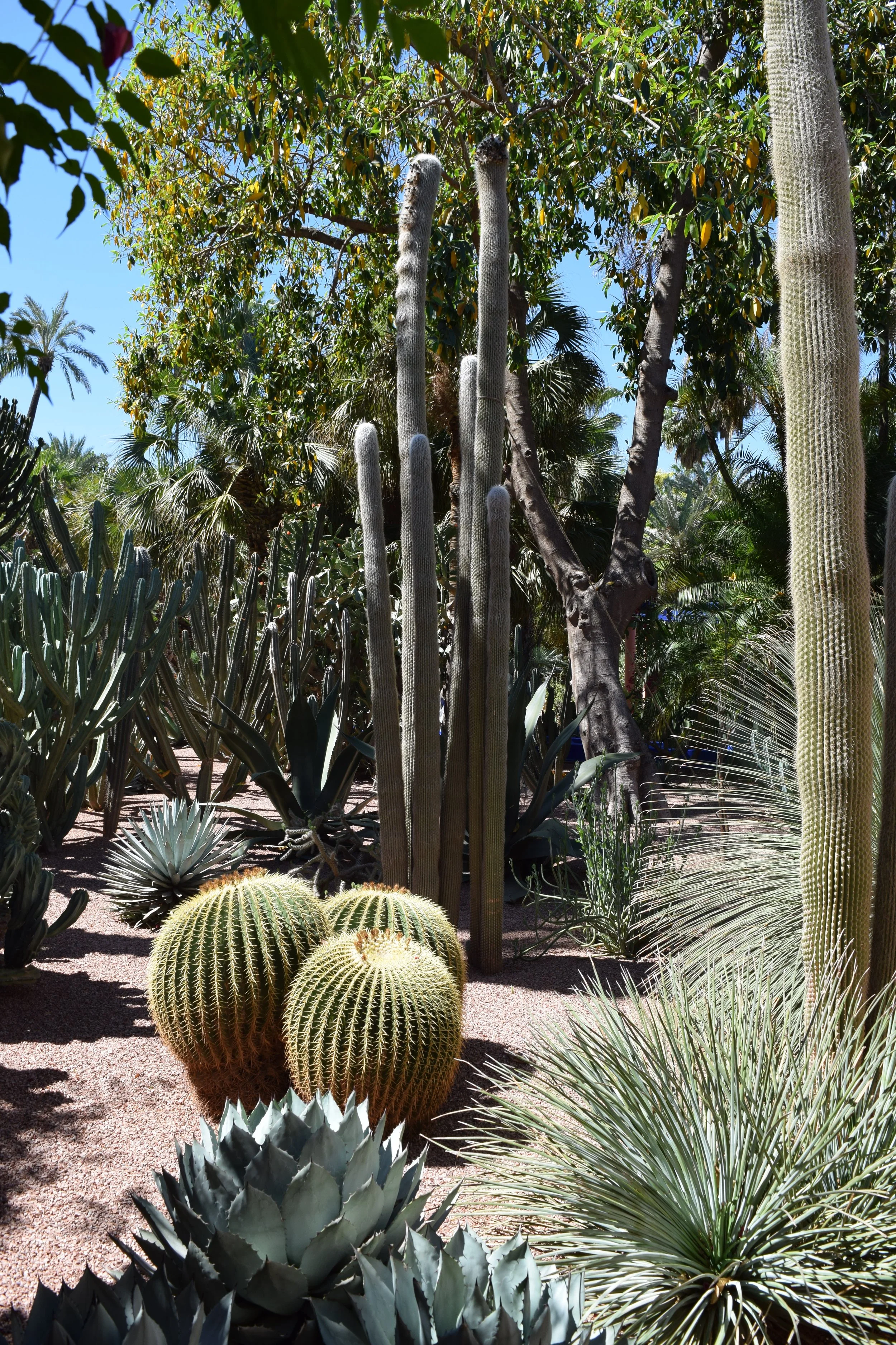 DSC_0291.JPG