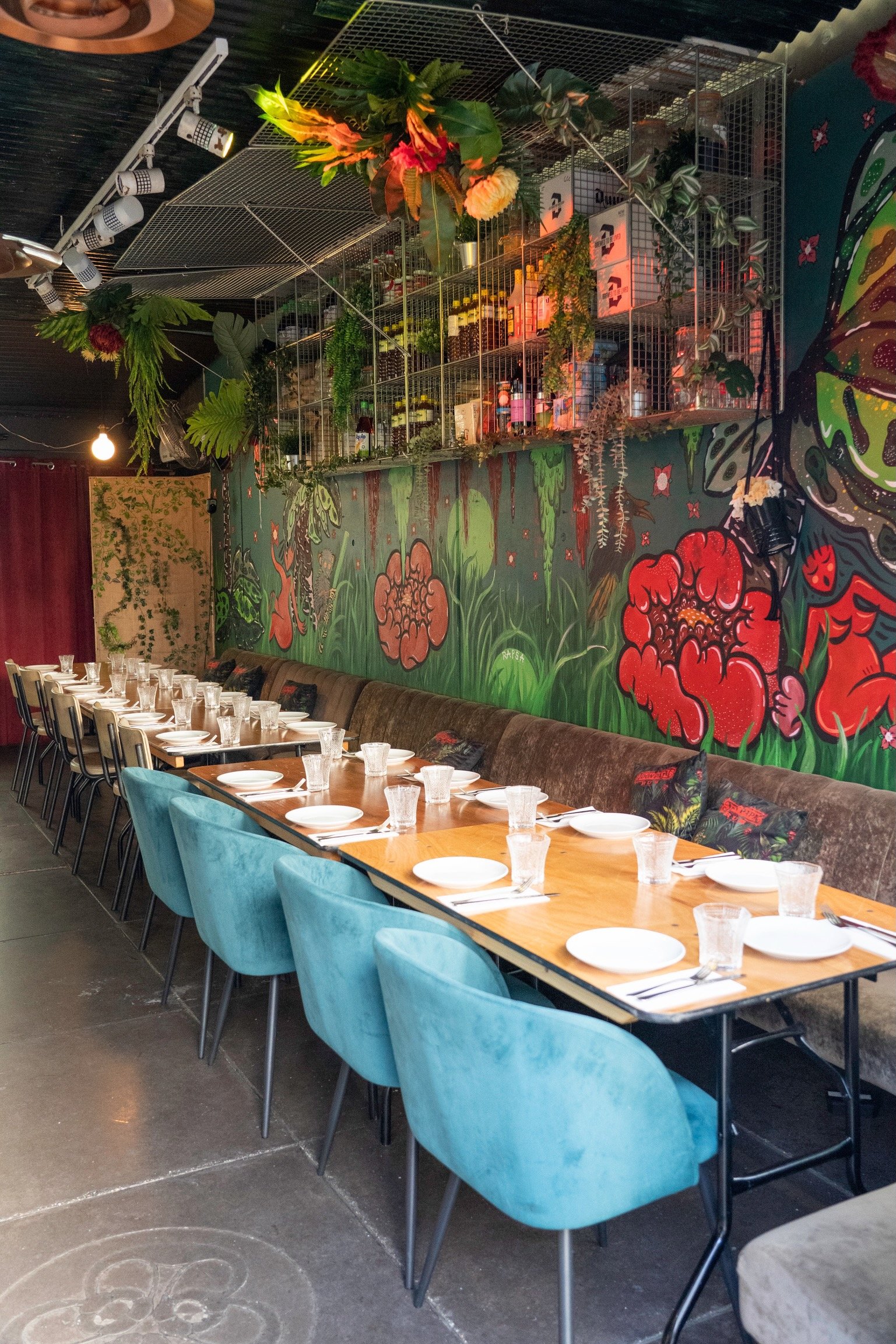 Cozy restaurant interior with a long wooden dining table set with plates and glasses, surrounded by blue chairs and brown seating against a colorful mural on the wall. Hanging plants and bottles are displayed above the seating area.