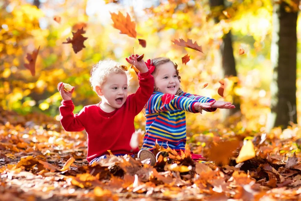 Looking for Fun Events in Milton? Here’s the September Round Up