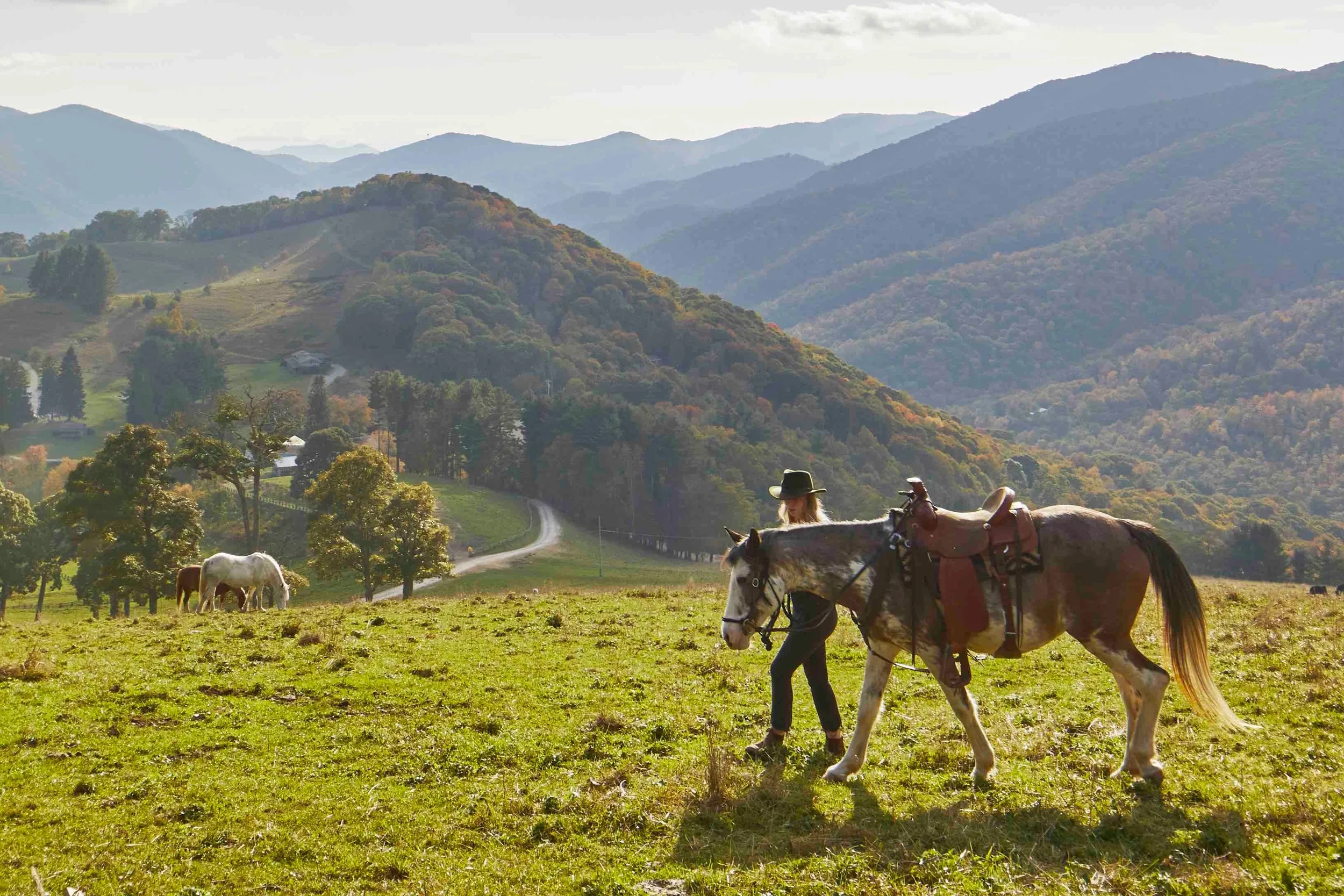 A person with a hat leads a horse across a grassy field, with a scenic backdrop of rolling hills and mountains, some trees, and a few grazing horses.