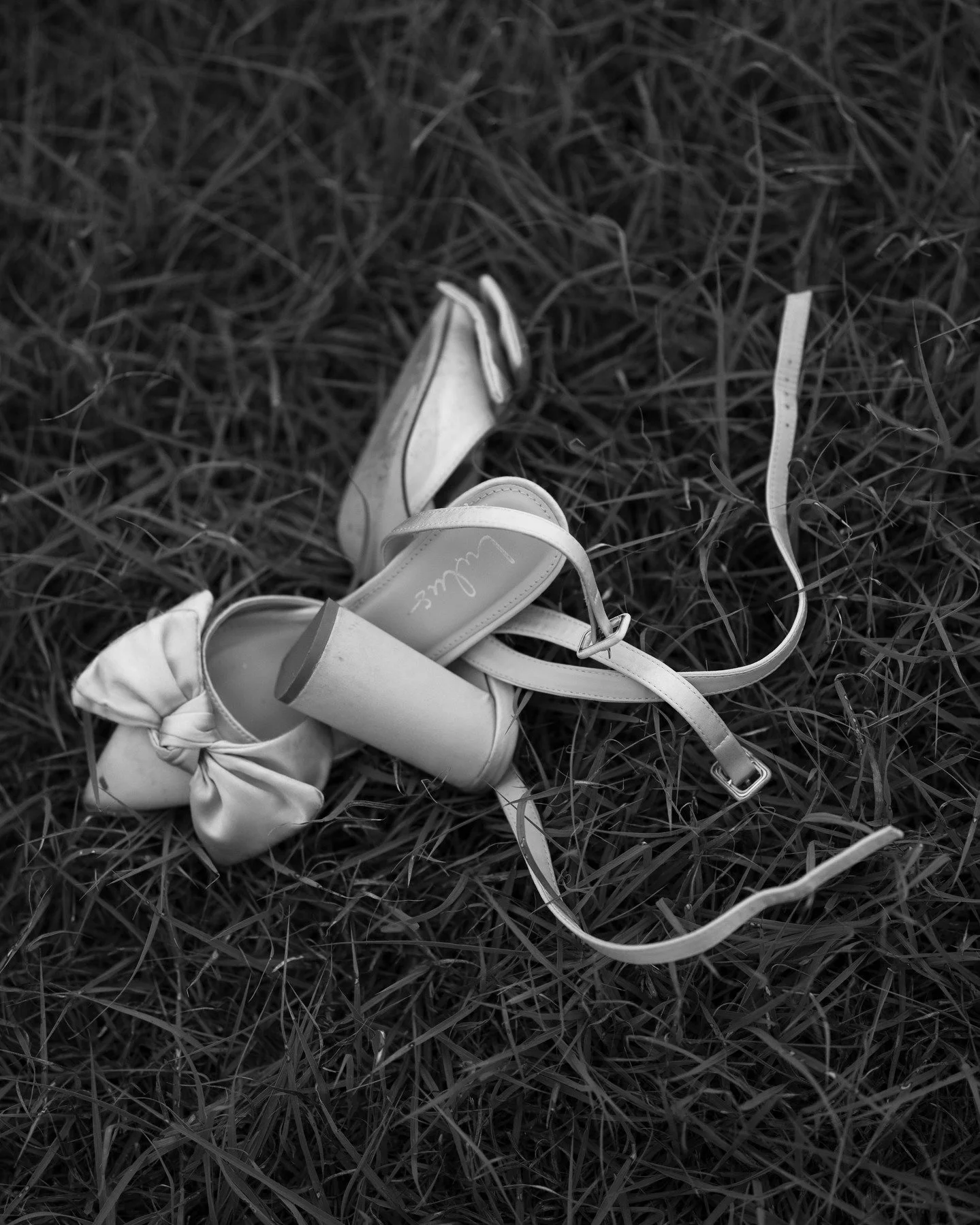 The cutest blue shoes that ended up everywhere throughout the night !!! 
Cheers to the something blue !!! 

Bride: @jessica.damkroger 
Photo &amp; Film: @megrosephotoco 
Venue: @thegrandivory 
Coordinator: @dandeliongrove.co