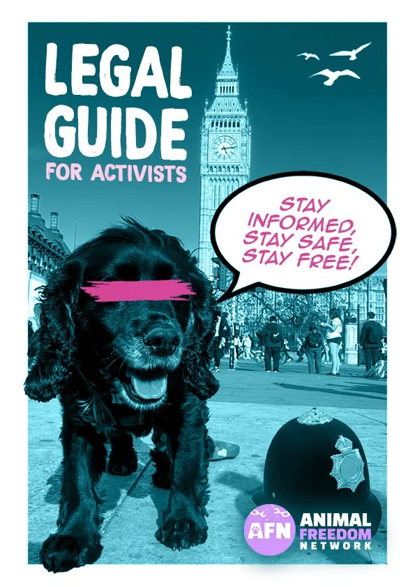 Protestor holding a sign that reads 'Legal Guide for Activists' in front of a silhouette of a historic building with towers, under a cloudy sky.