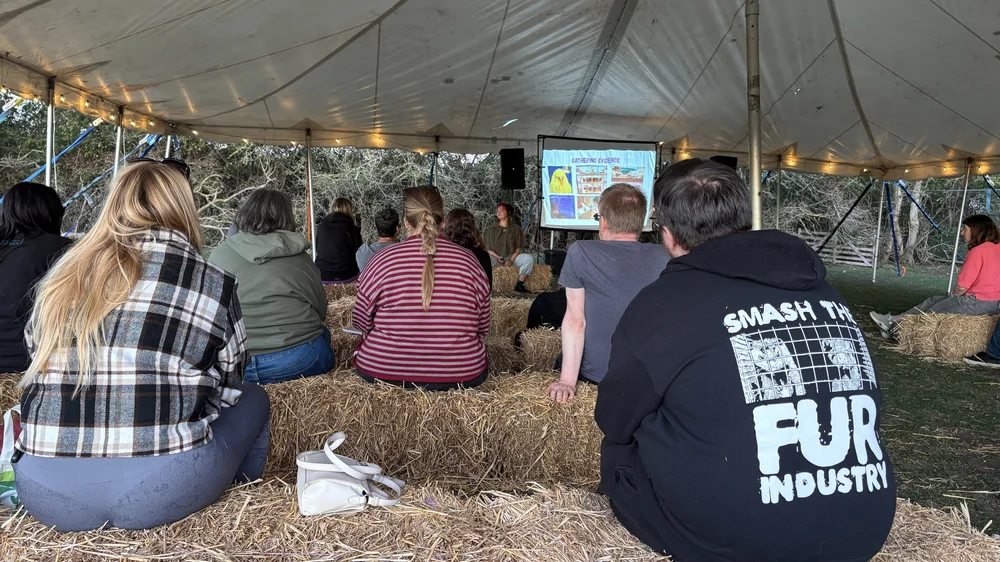 Activists sitting on hay bales in a marquee, listening to a workshop