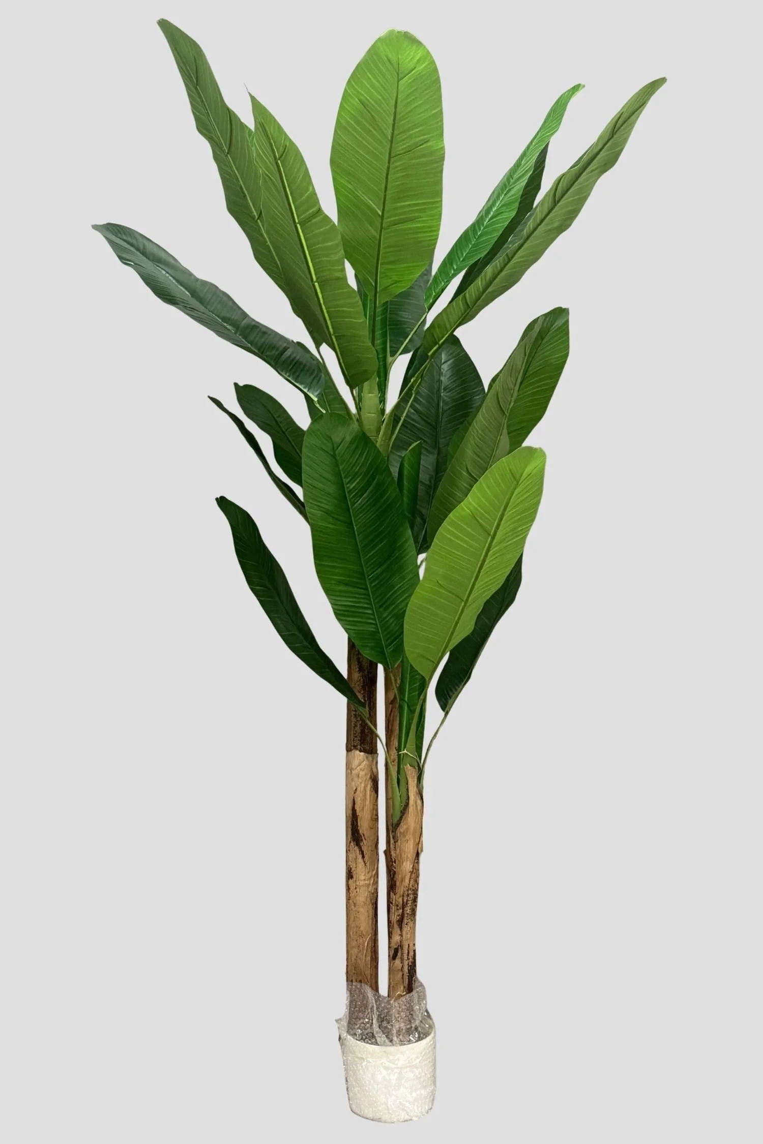 Green Banana 3255 Green Banana 180cm - $119.jpg