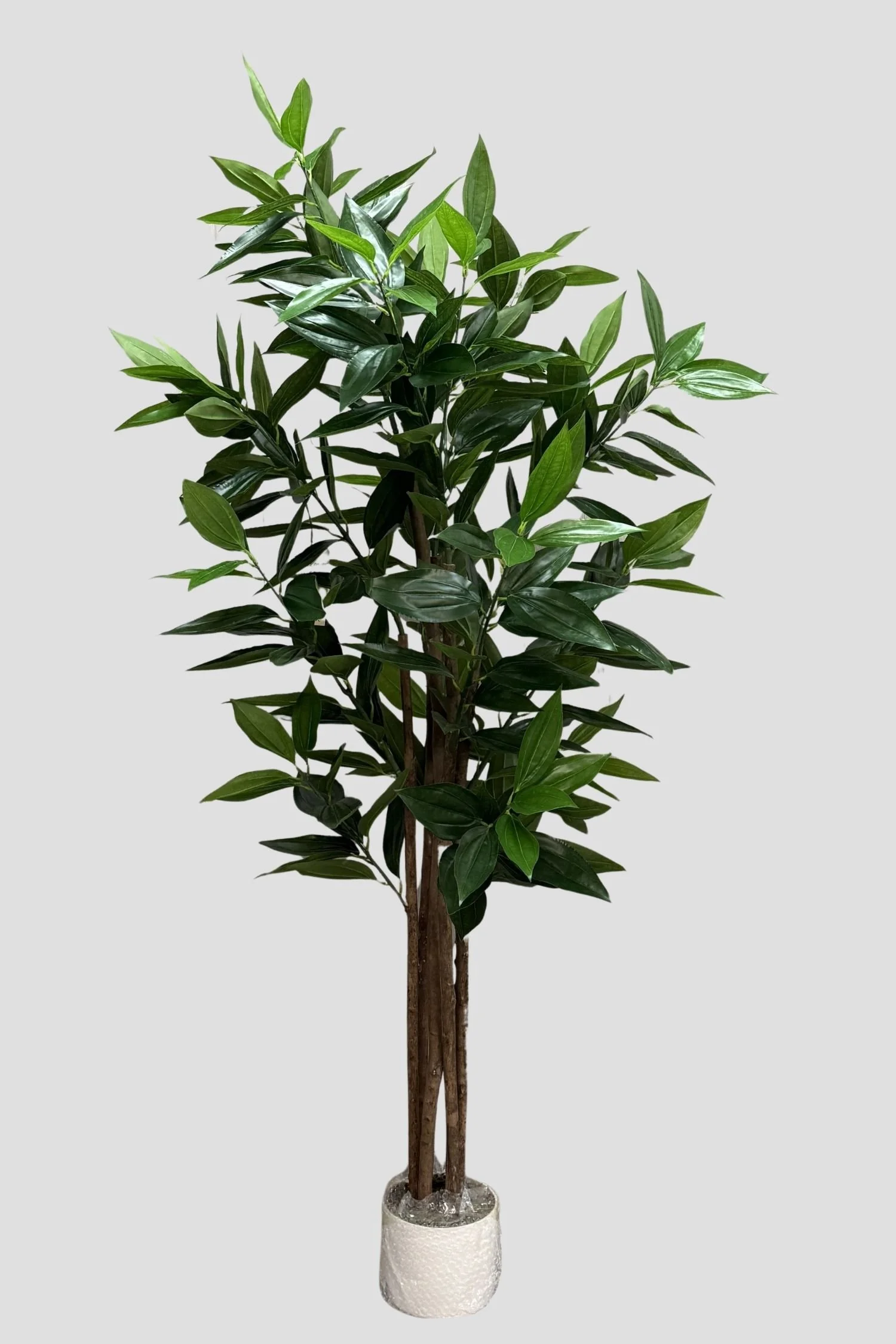 Peace Leaves 3331 180cm - $89.jpg