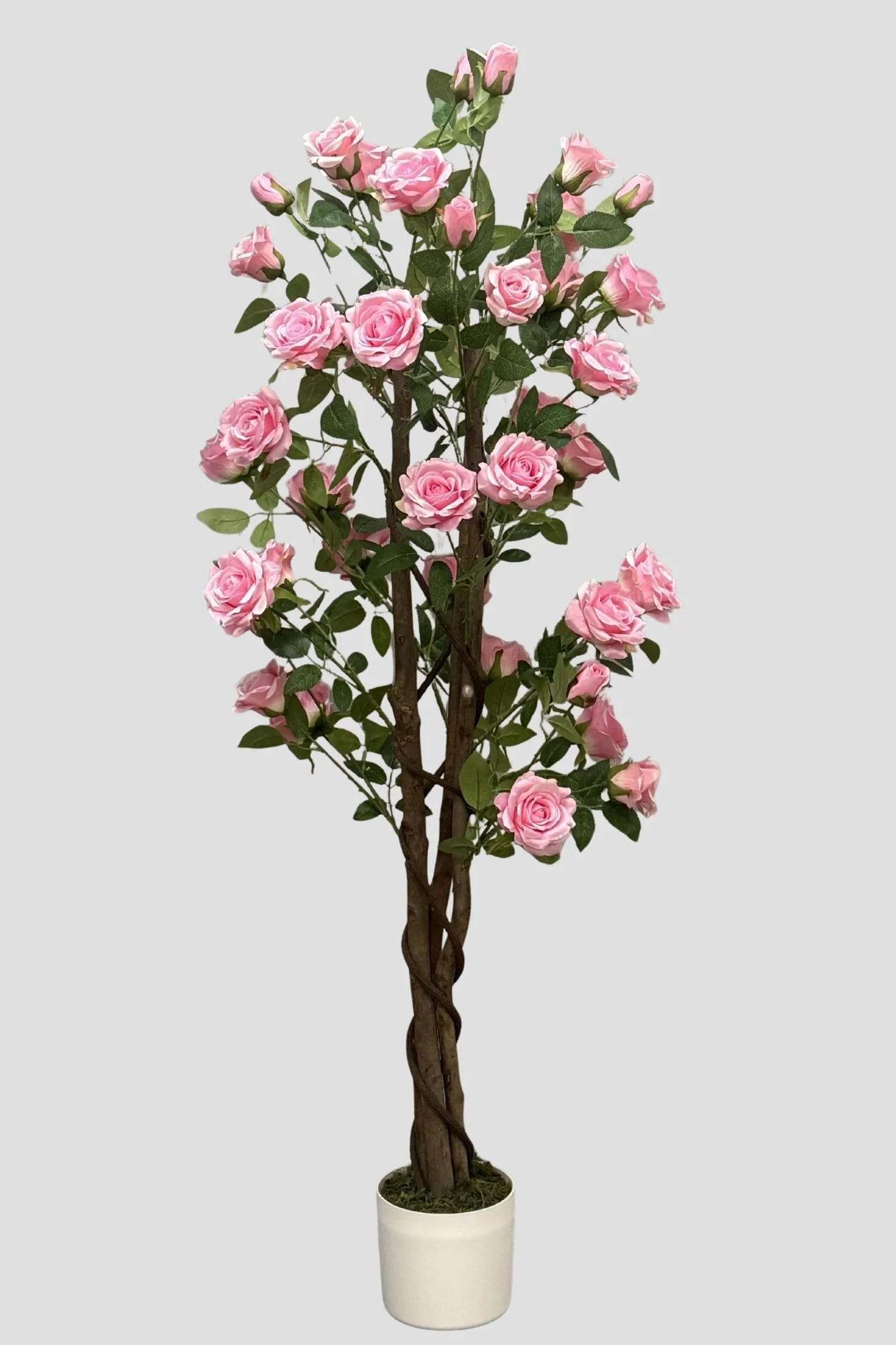 Rose Tree 3231 150cm - $89.jpg