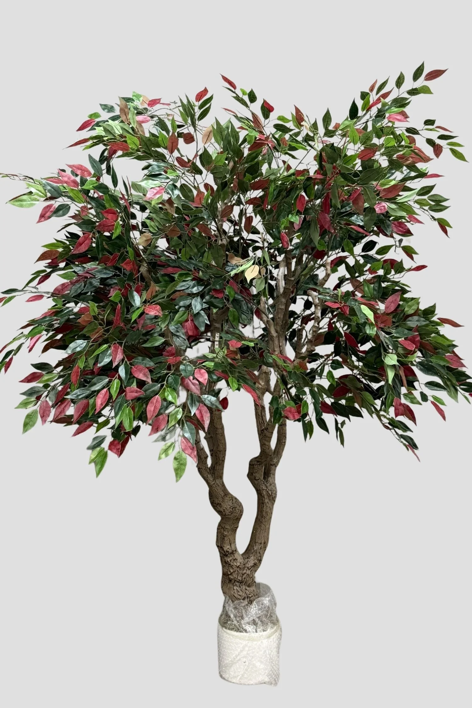 Ficus 3994 180cm - $189.jpg