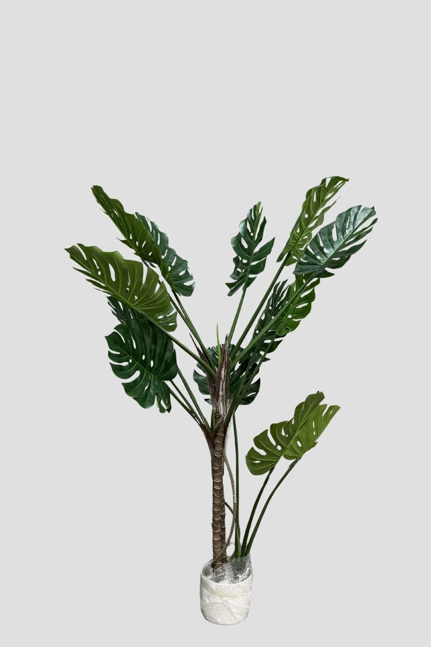 Monstera 3316 150cm - $89.jpg