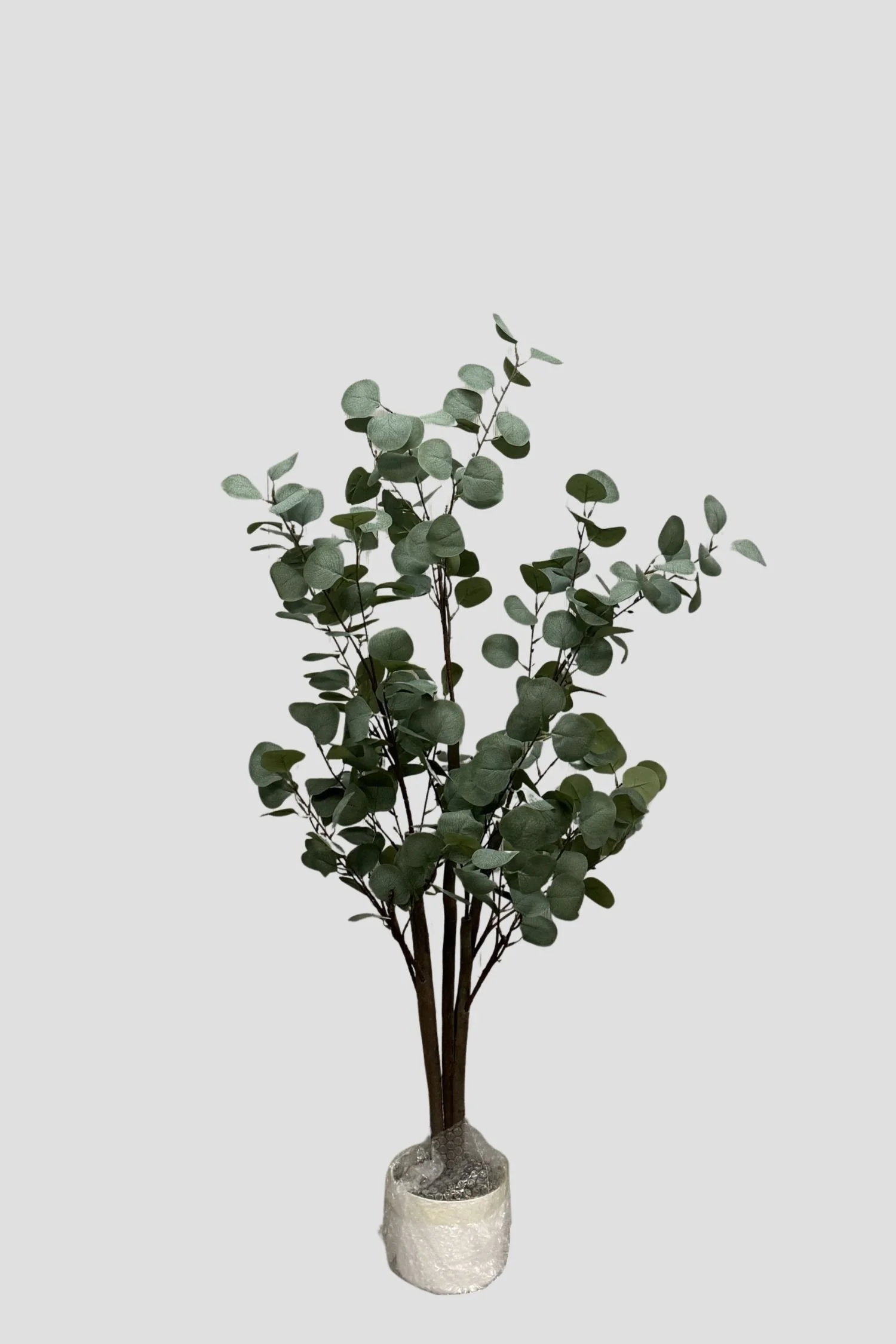 Eucalyptus 3064 120cm - $49.jpg