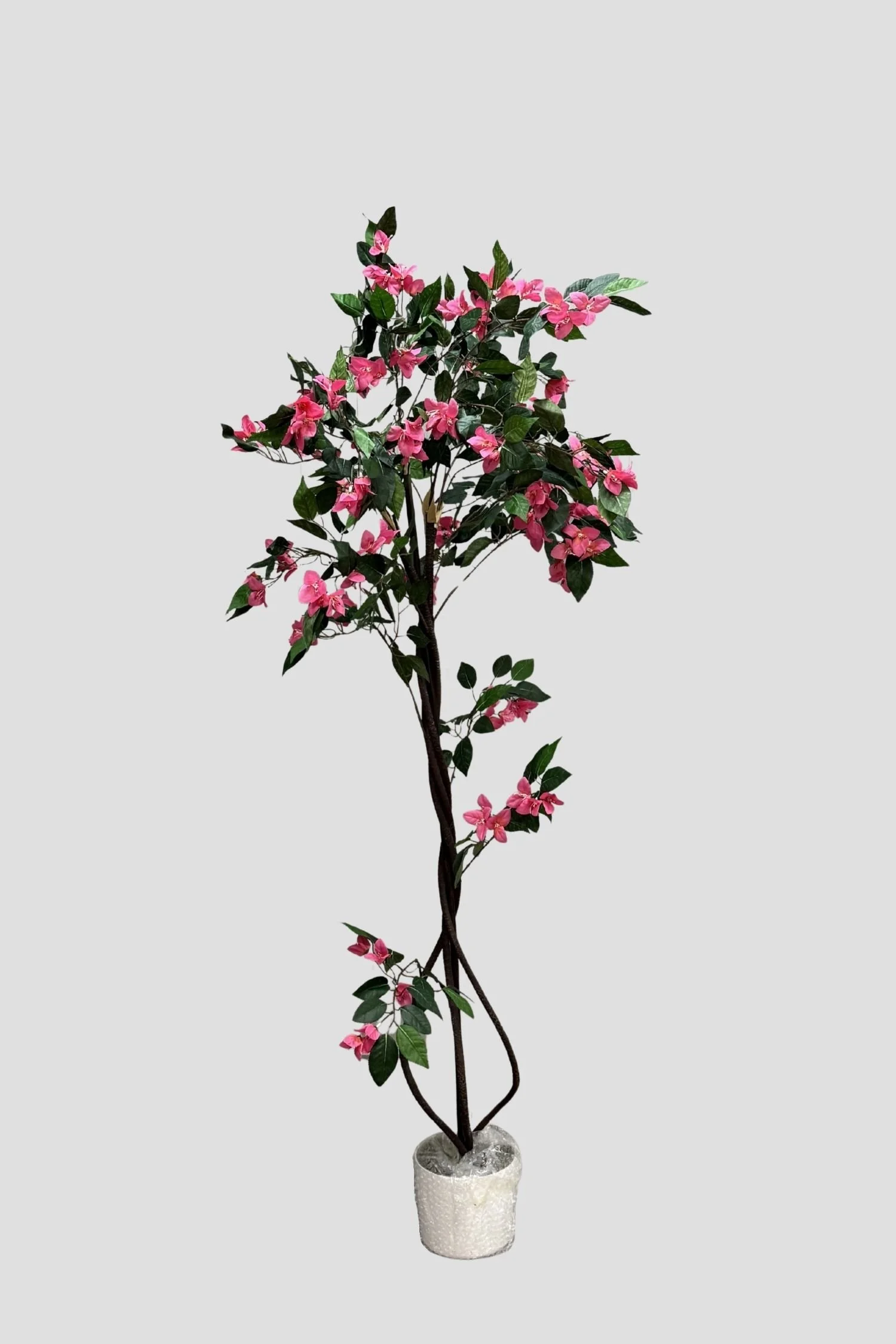 Bougainvillea 3666 150cm - $69.jpg