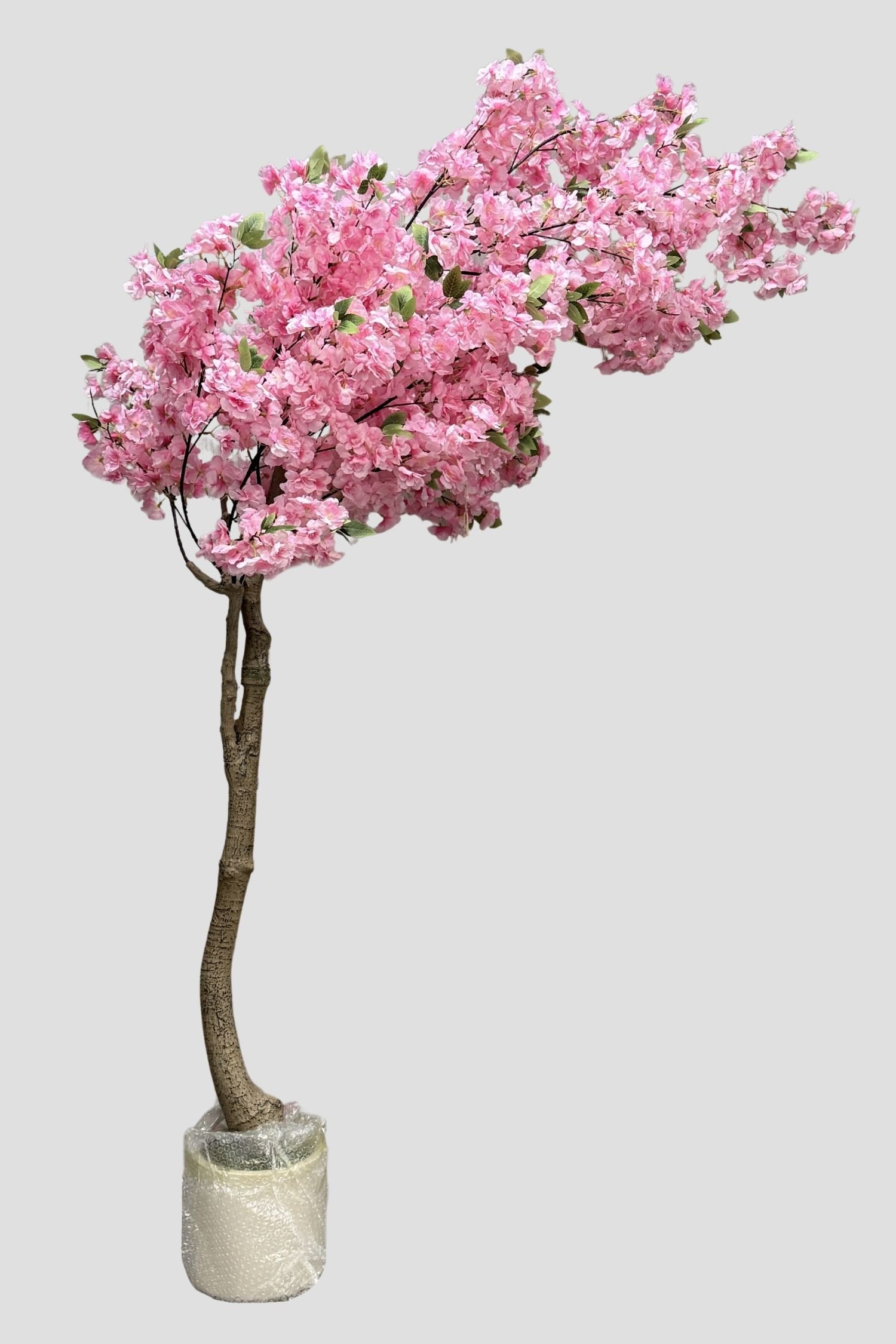 Cherry Blossom 3993 190cm $210.jpg