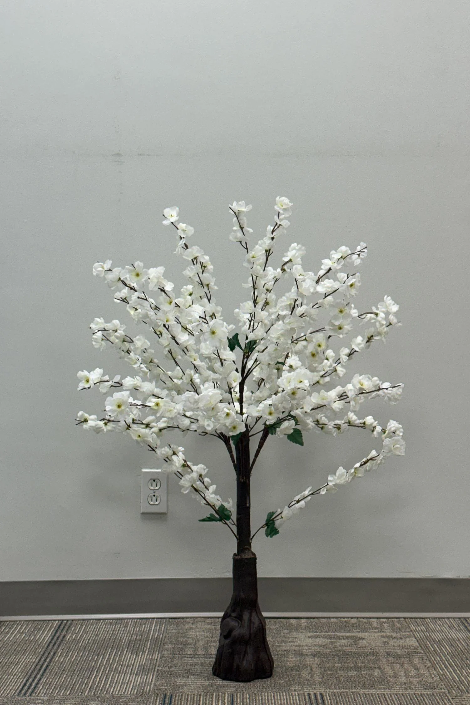 wall panel closeup-1 12.JPG