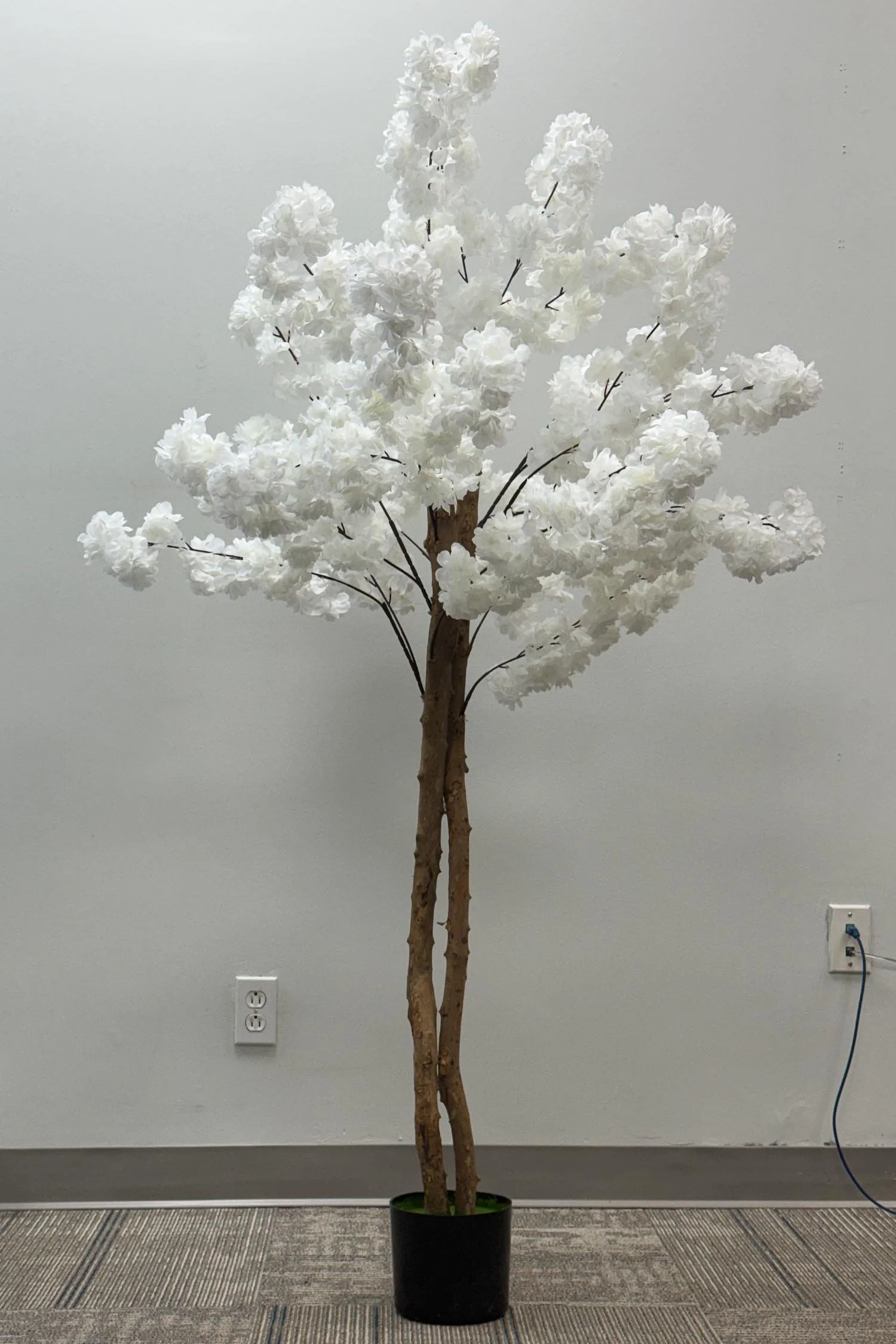 wall panel closeup-1 21.JPG