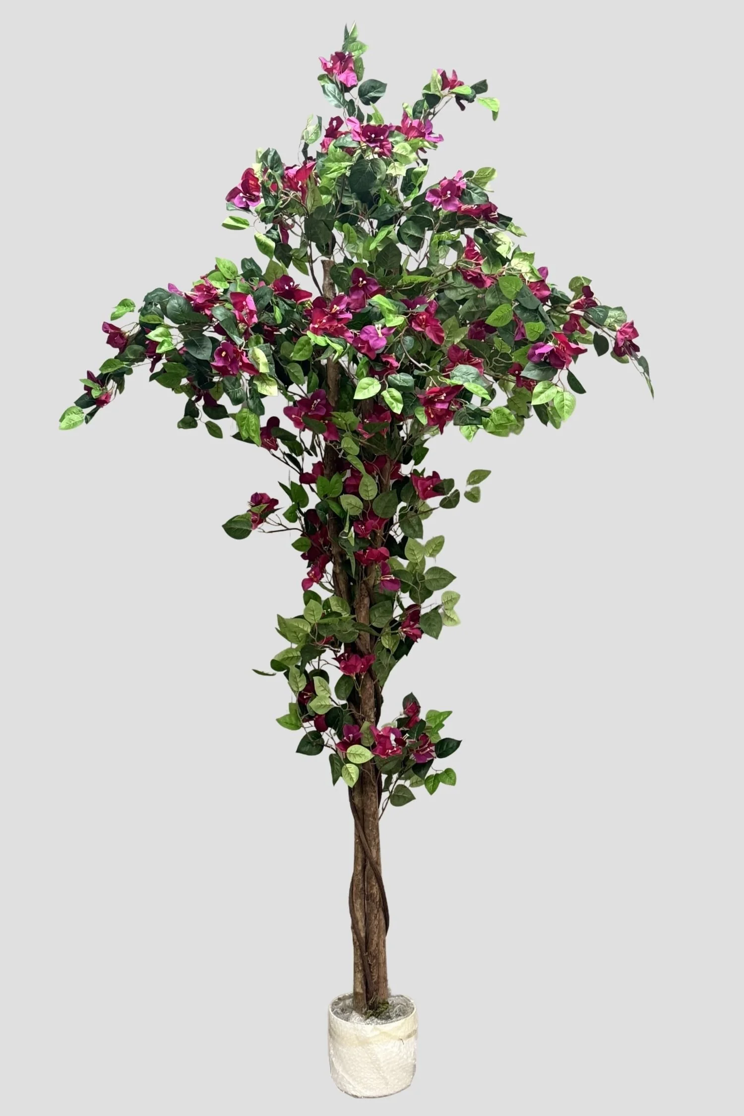Bougainvillea 4072 180cm - $115.jpg