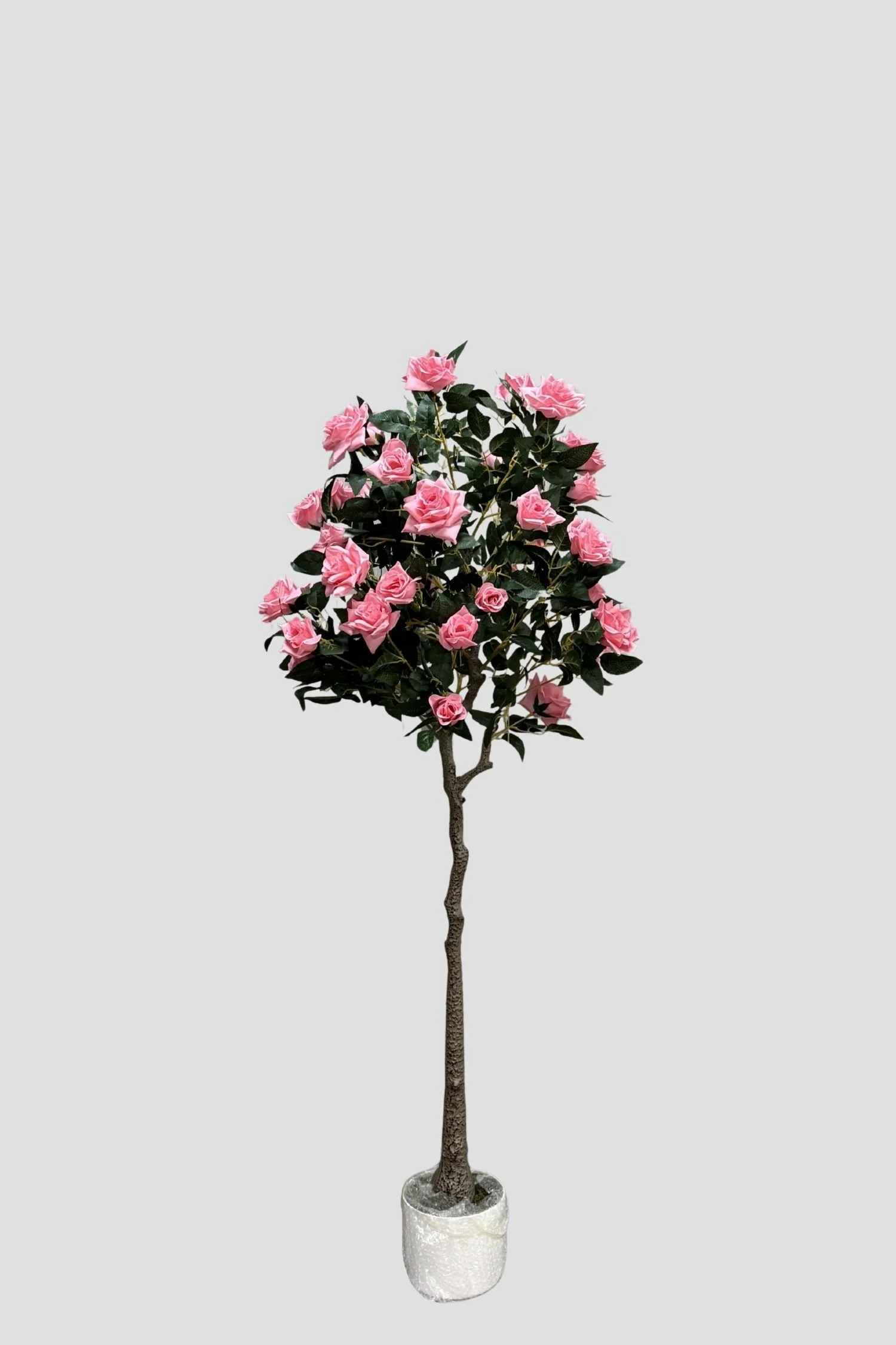 Rose Tree 4050 155cm - $85.jpg